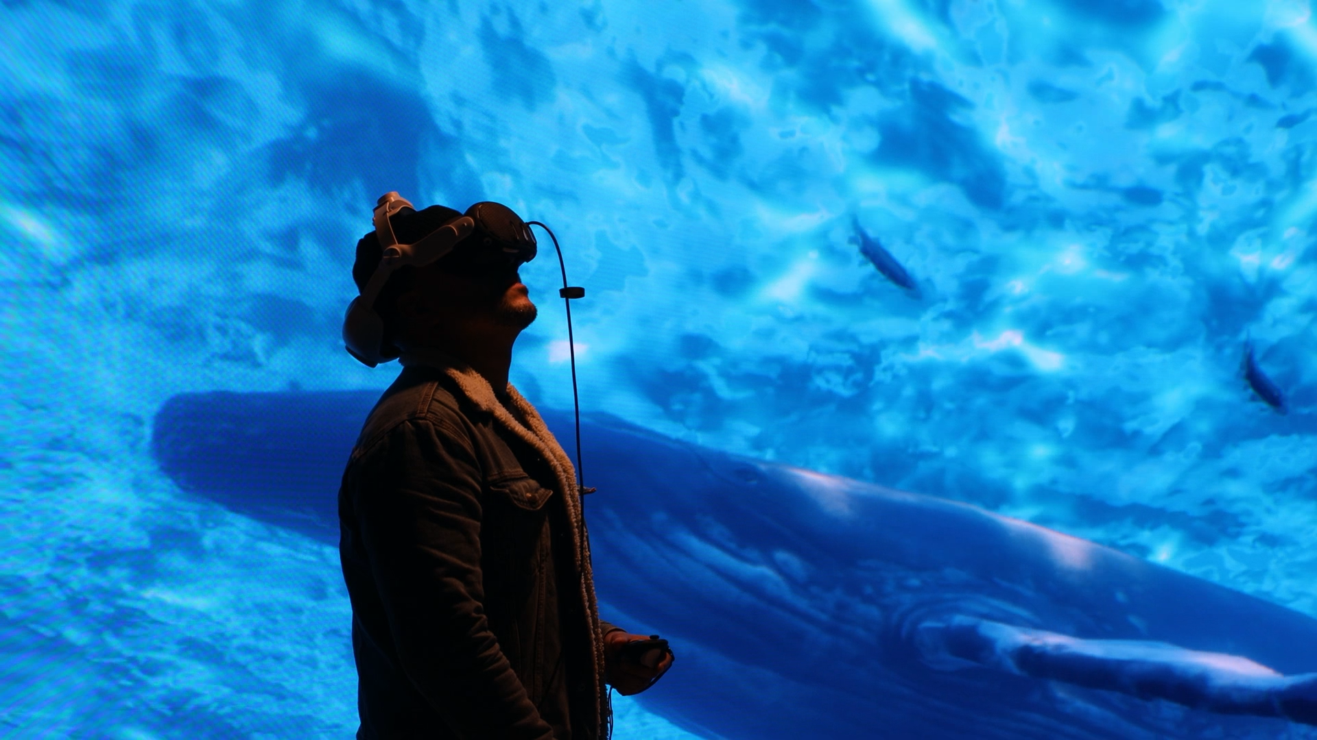 Person wearing virtual reality goggles standing in front of large blue aquatic display with whale silhouettes.