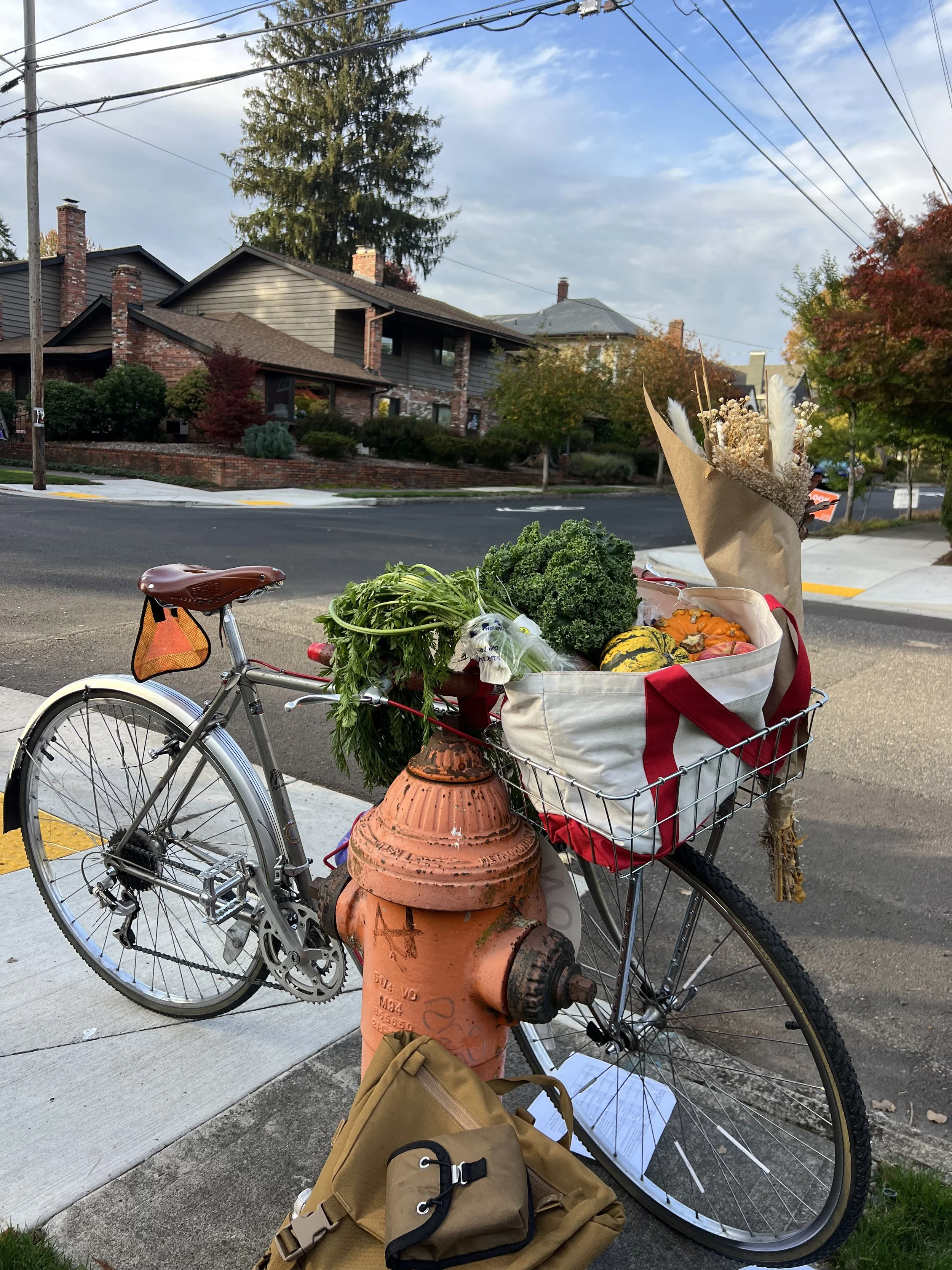 A bicycle parked against a red brick fire hydrant on a city sidewalk. The bike has a basket filled with vegetables and flowers, and there is a tan backpack on the ground nearby. Houses and trees are visible in the background, with overhead power lines crossing the scene.