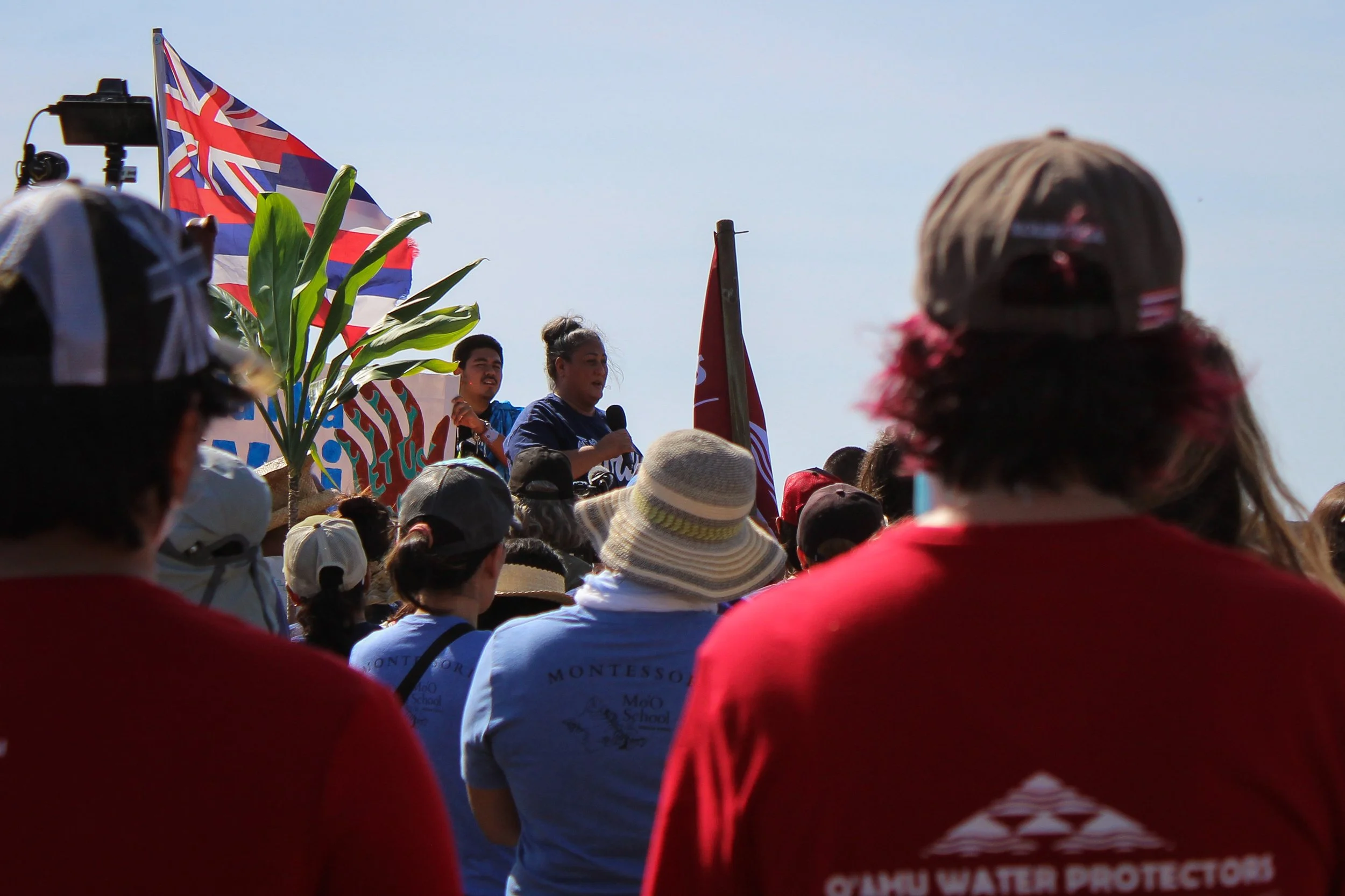 A crowd of people outdoors during daytime at a protest or rally, with one person speaking into a microphone, holding flags and signs, some with visible slogans, under a clear sky.