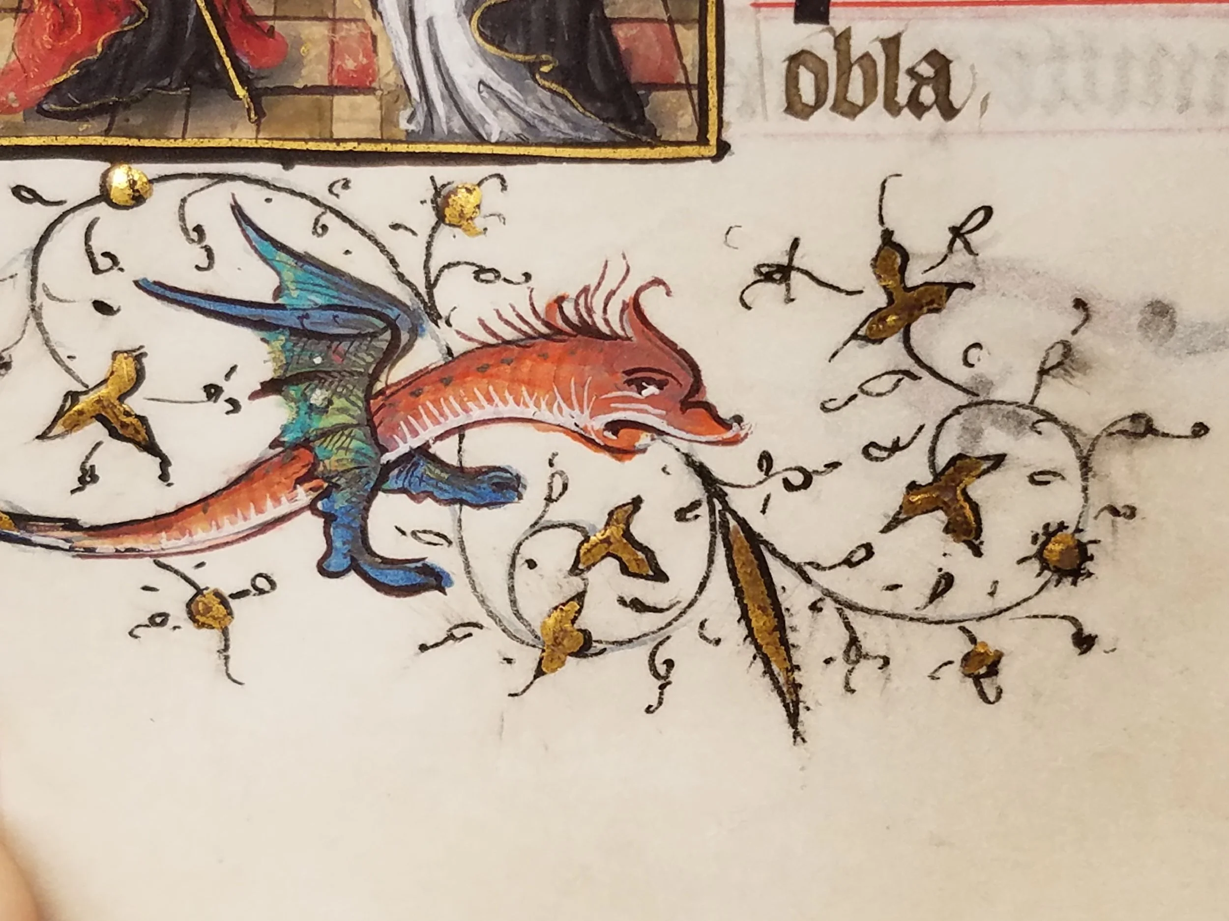 A close-up image of an old illuminated manuscript featuring a colorful illustration of a mythical creature that has the body of a dragon with orange and red coloring, and wings that are a gradient of blue and green. The creature is surrounded by elegant black calligraphic text with gold embellishments.