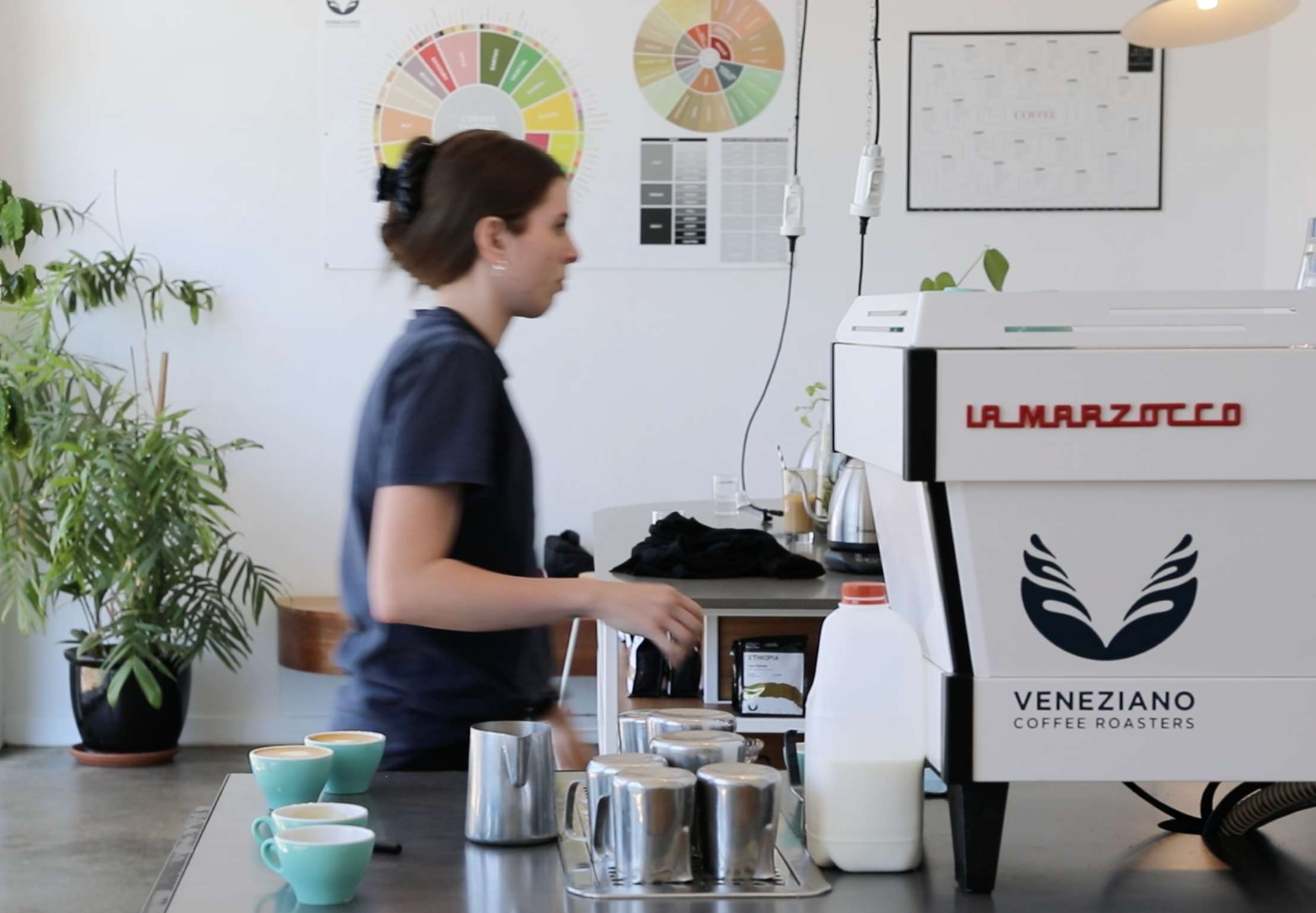 Interview with Michaela and Josh of Veneziano Coffee