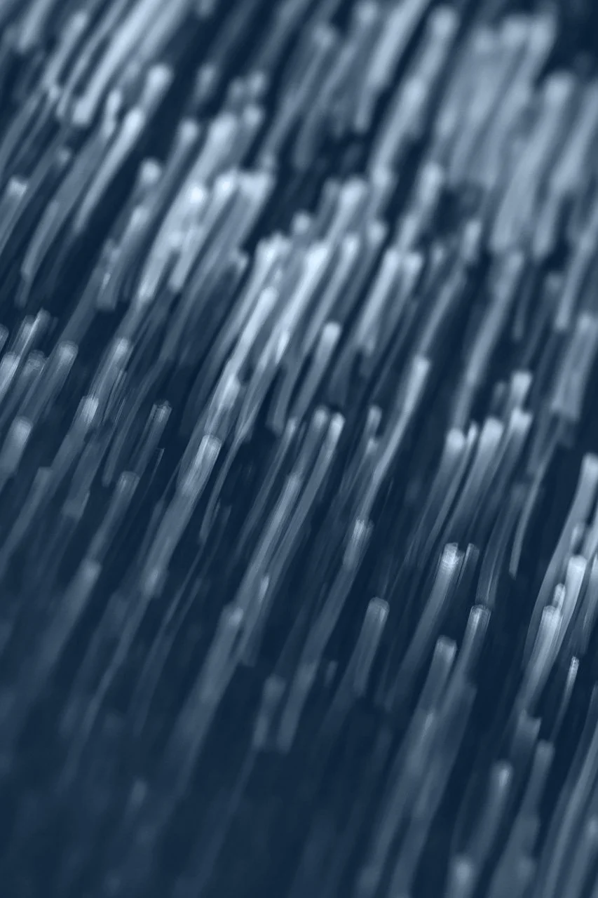 Telecommunications networking, managed infrastructure services new zealand