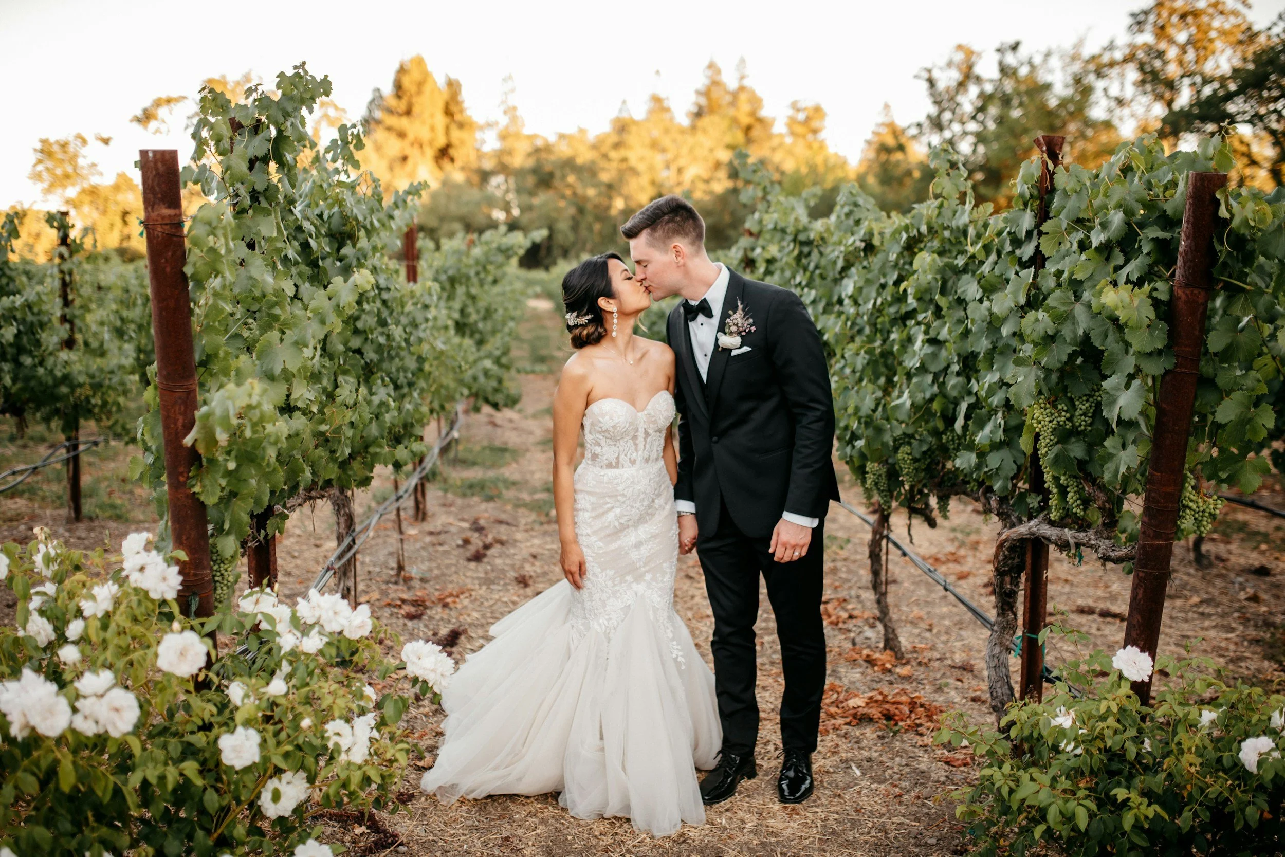 A couple in wedding attire kissing in a vineyard during sunset, with grapevines and white flowers in the foreground.