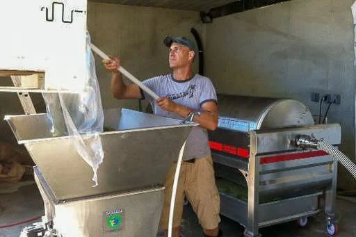 A man in a cap and gray T-shirt using a long tool to scrape or clean a large piece of meat or food in a stainless steel tub, with a meat processing machine nearby in a factory or food processing setting.