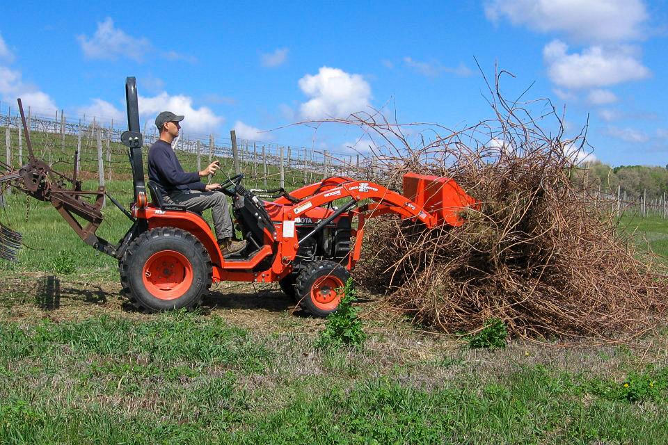 A person operates a small orange tractor clearing overgrown vines in an agricultural field on a sunny day.
