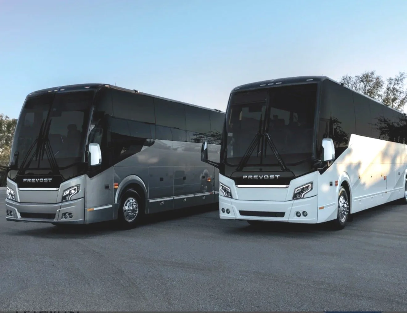 Bus+pictures.jpg