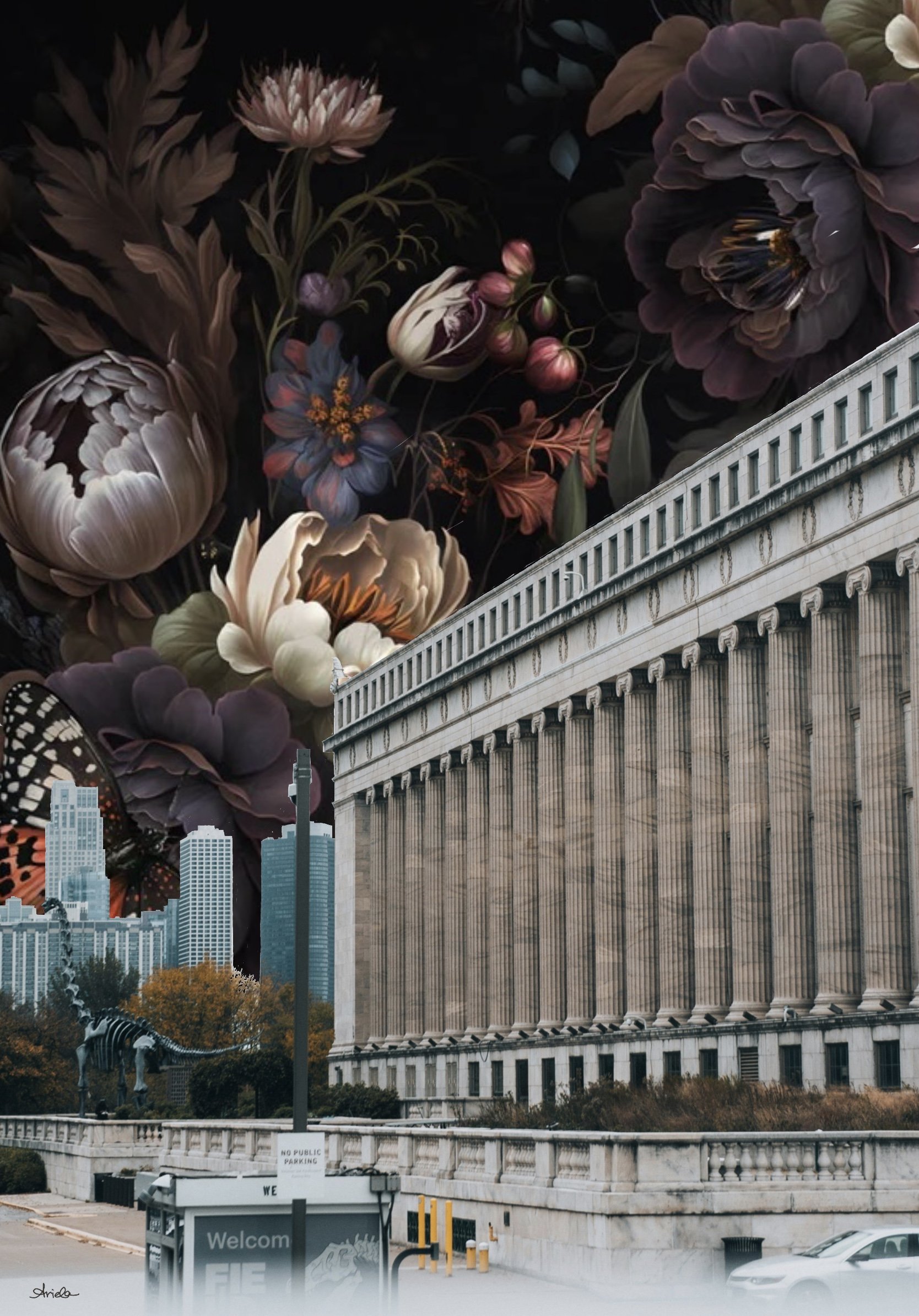 Untitled_Artwork 35.jpg