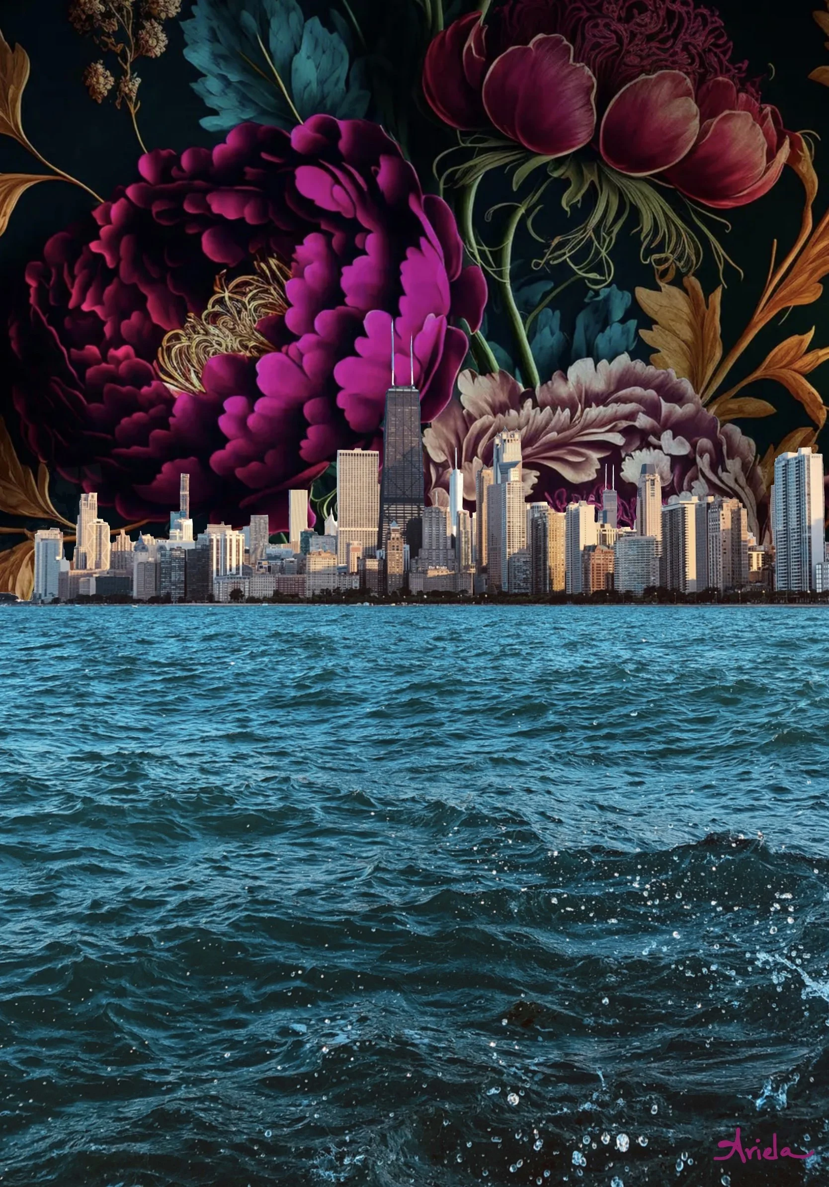 The Chicago Collection