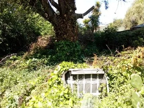 Section clearing - before