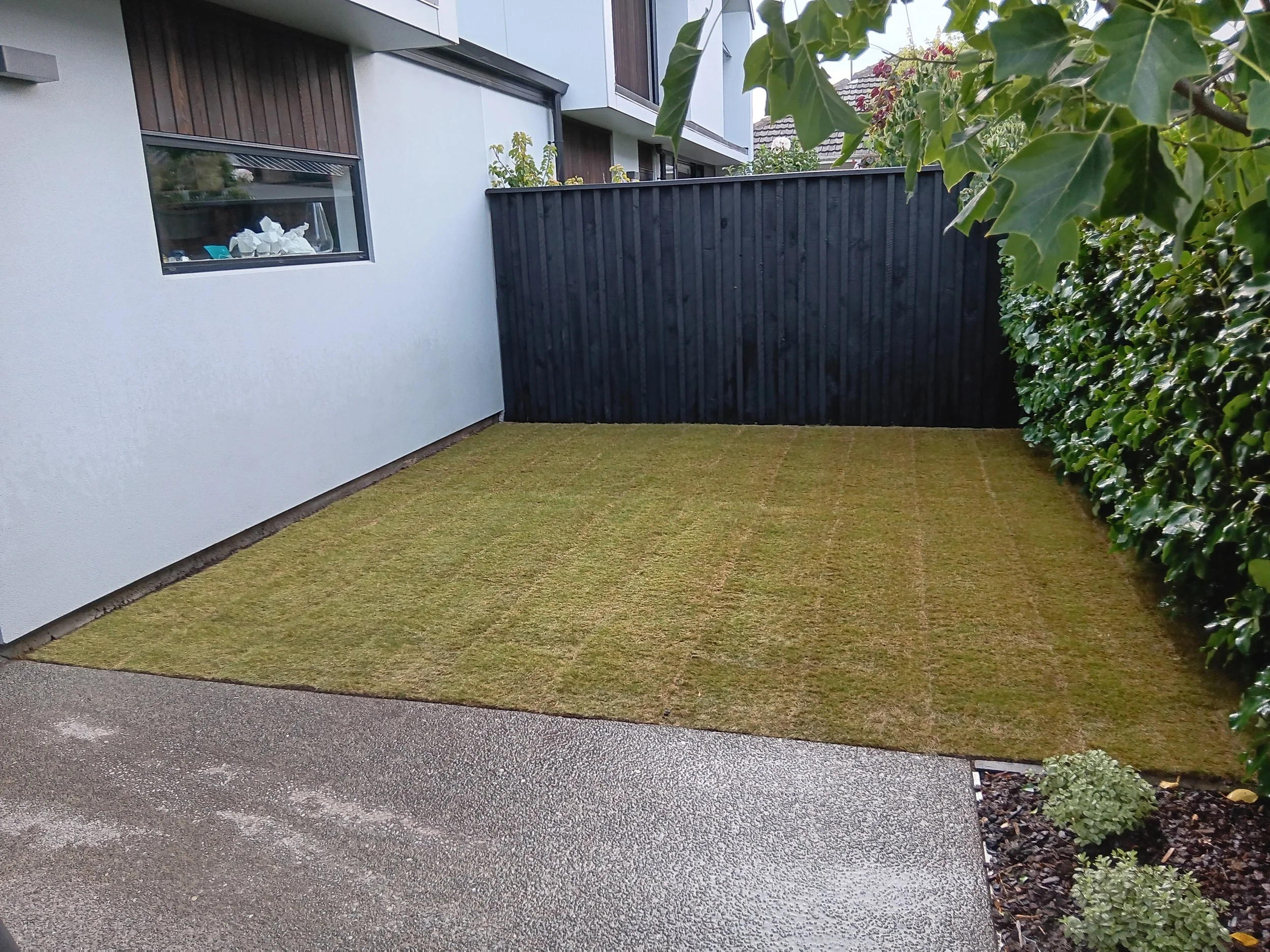 Ready lawn