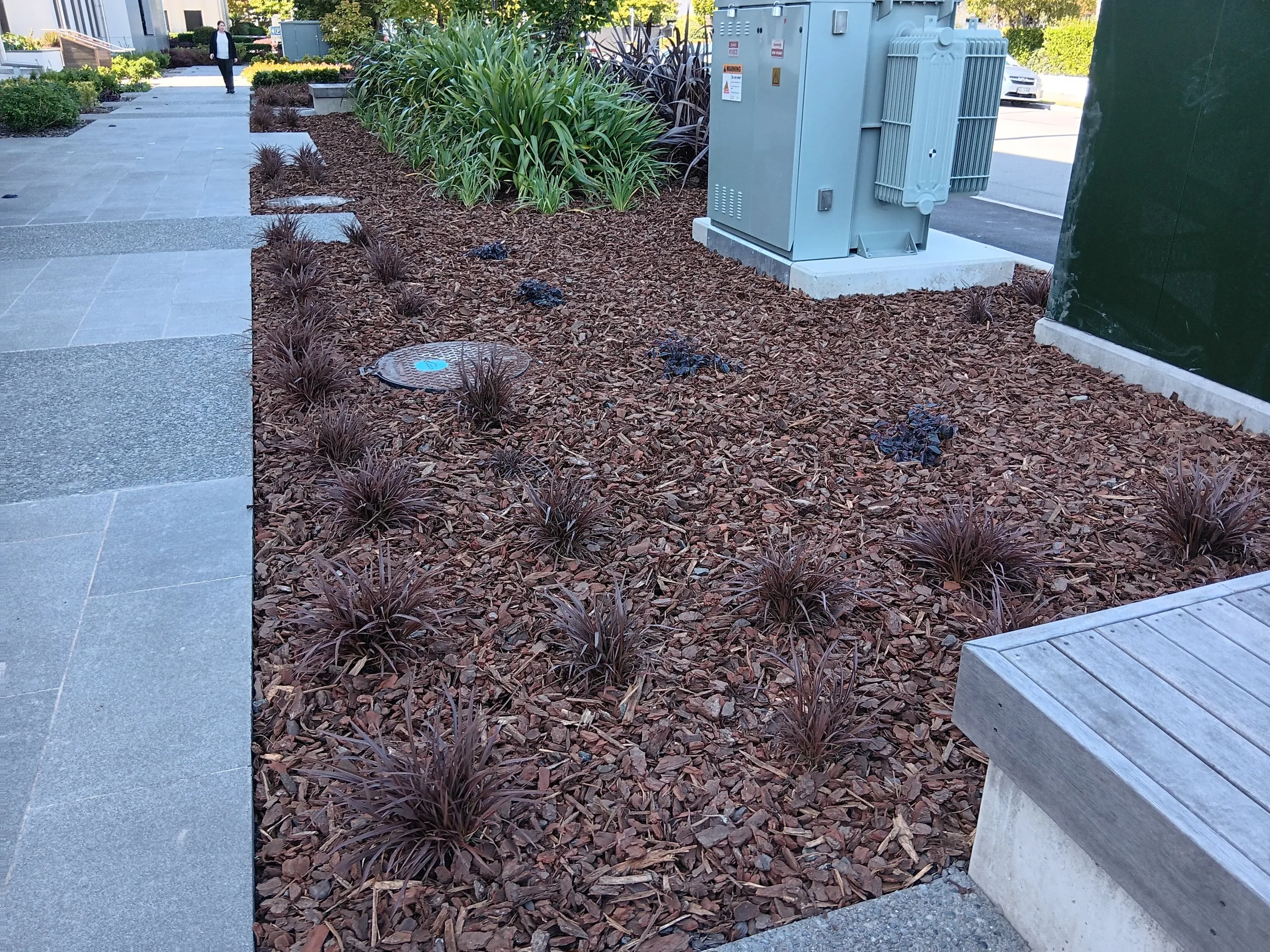 Garden planting