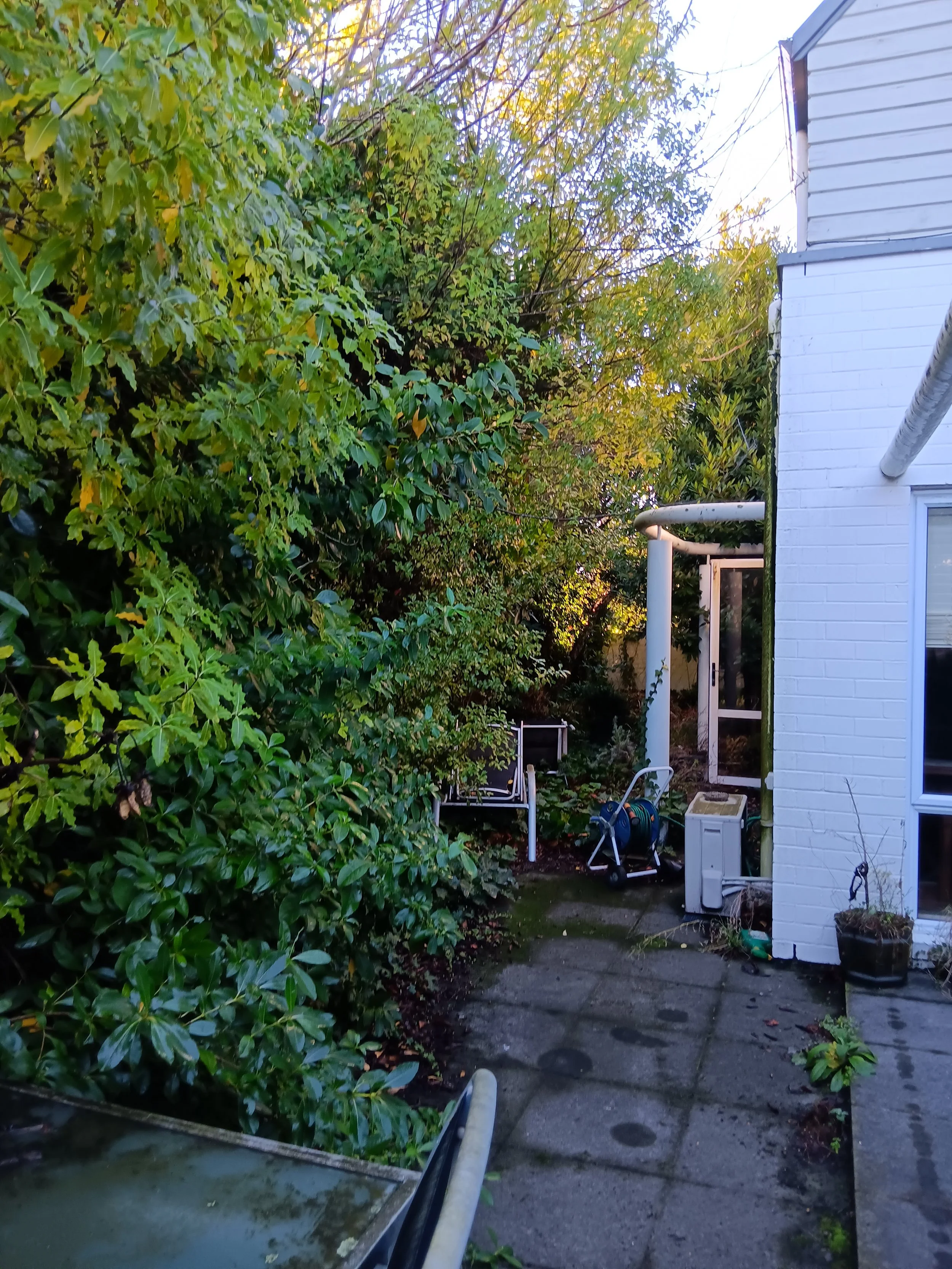 Garden - Before