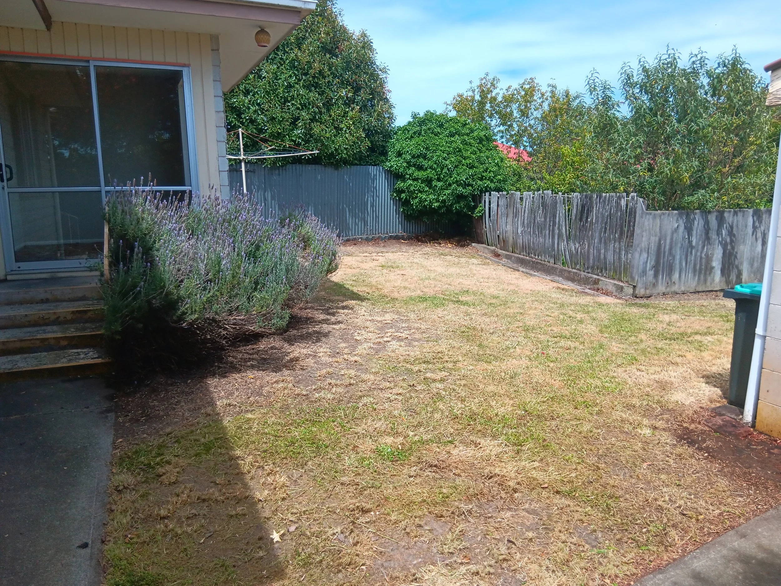 Back yard - After