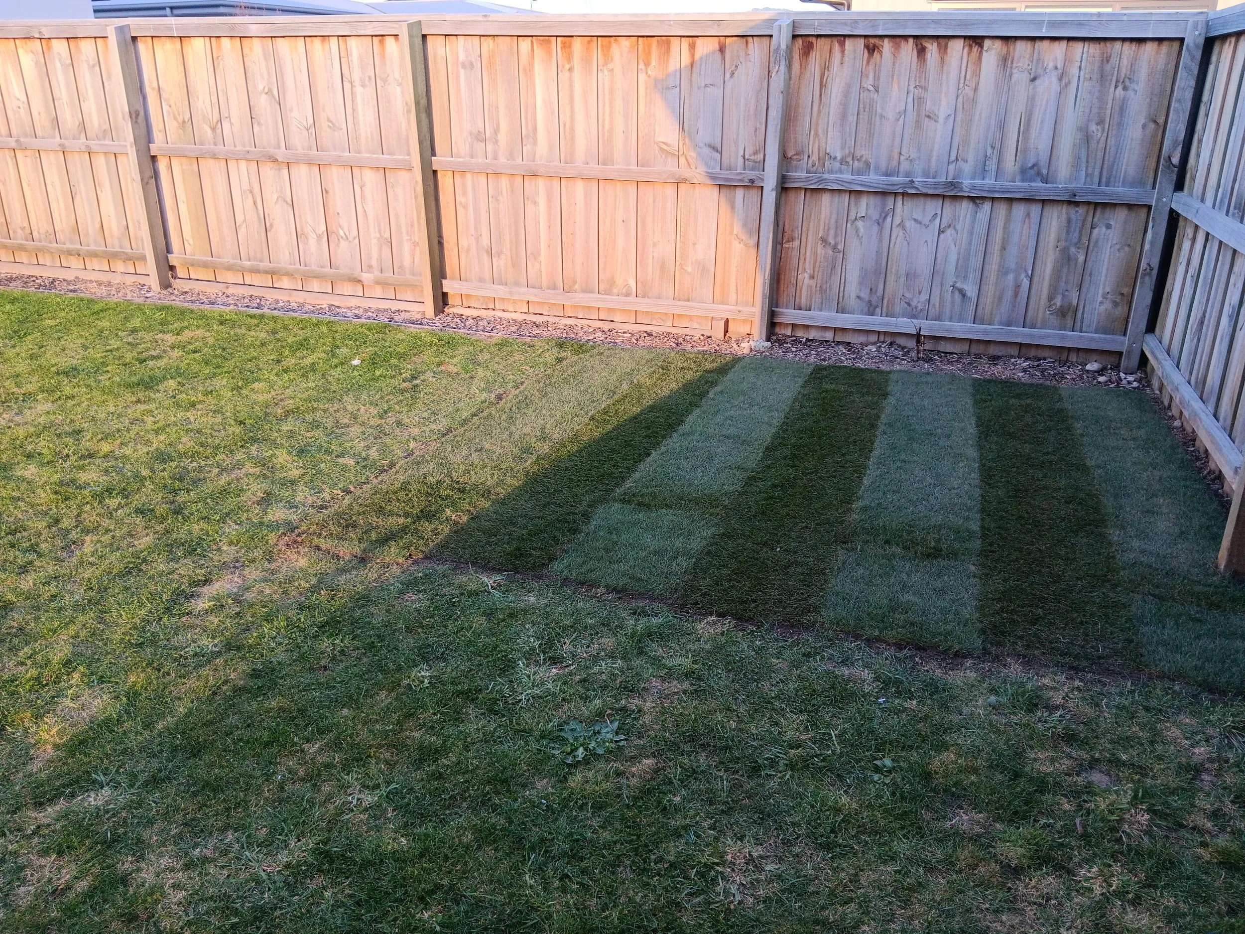Lawn repair