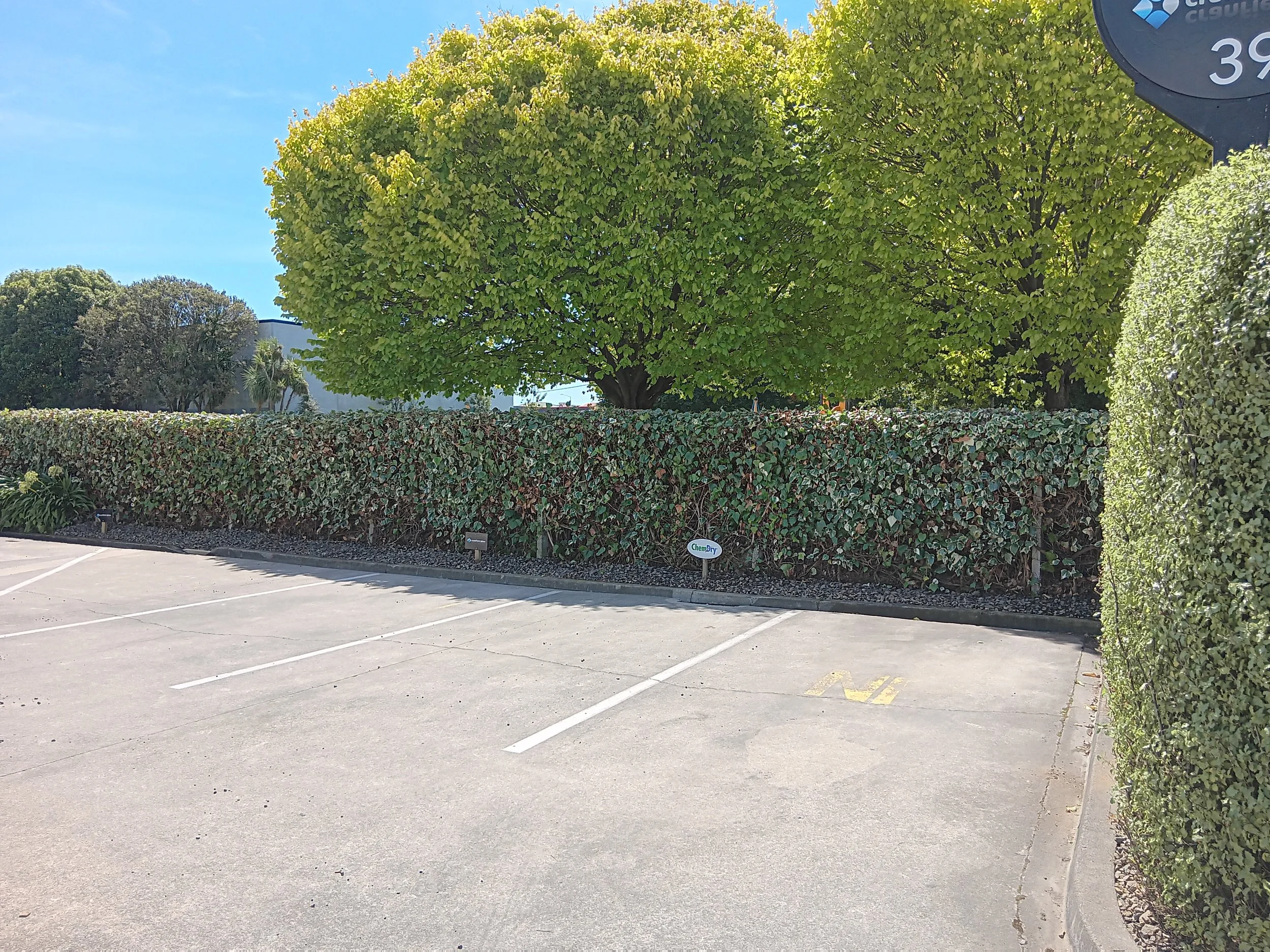 Hedge trim