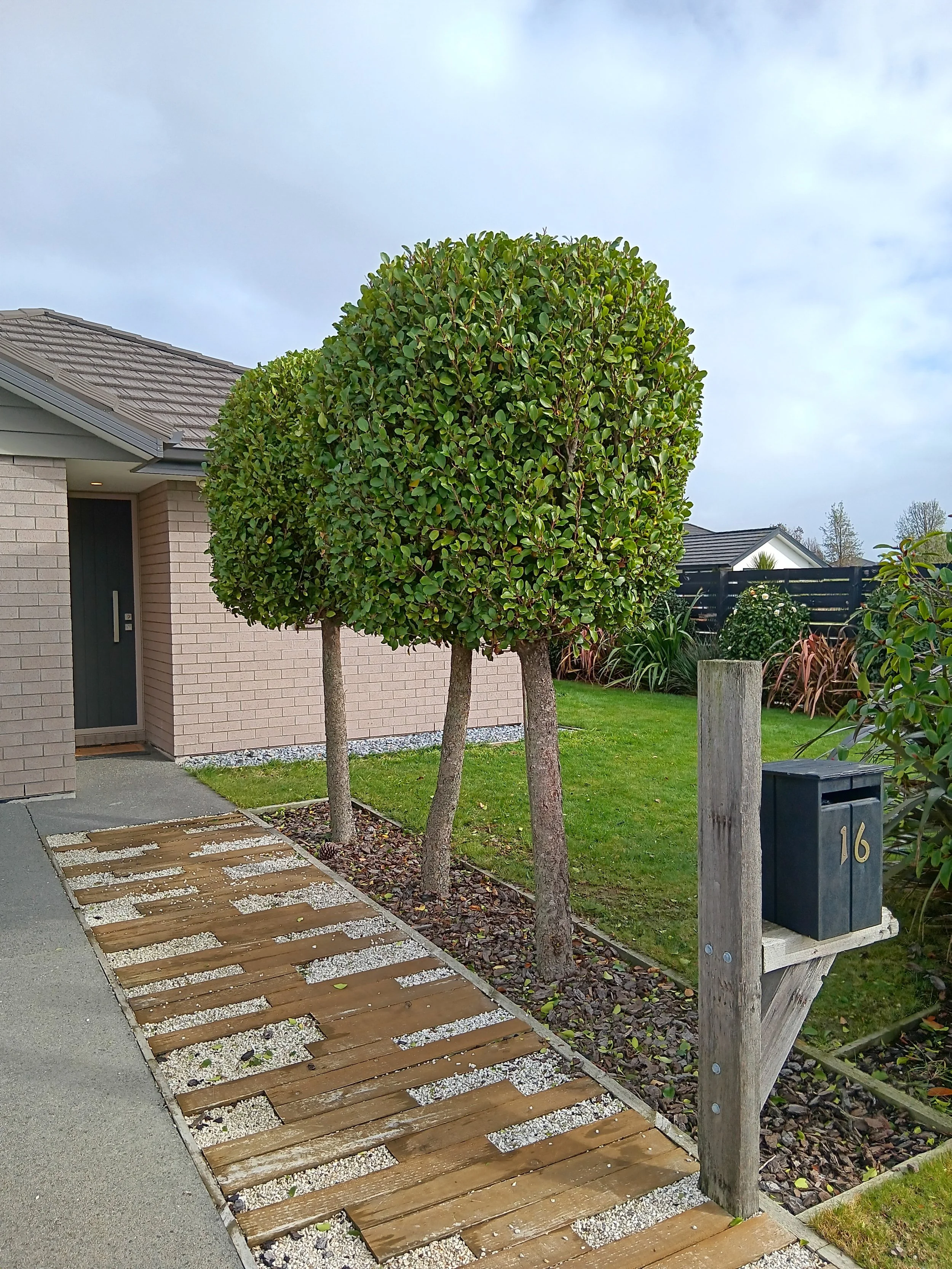 Tree shaping