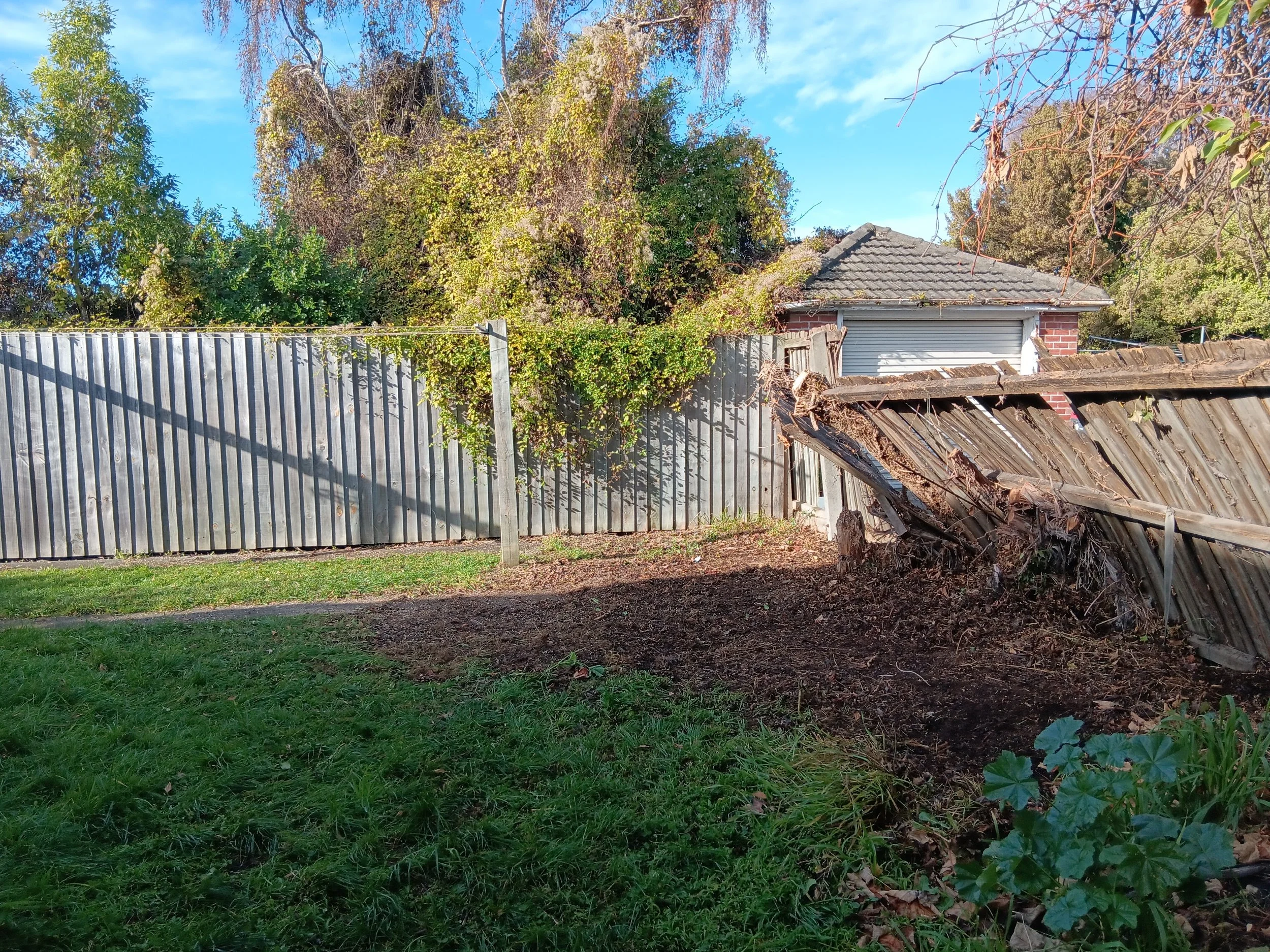 Remove creeper - After