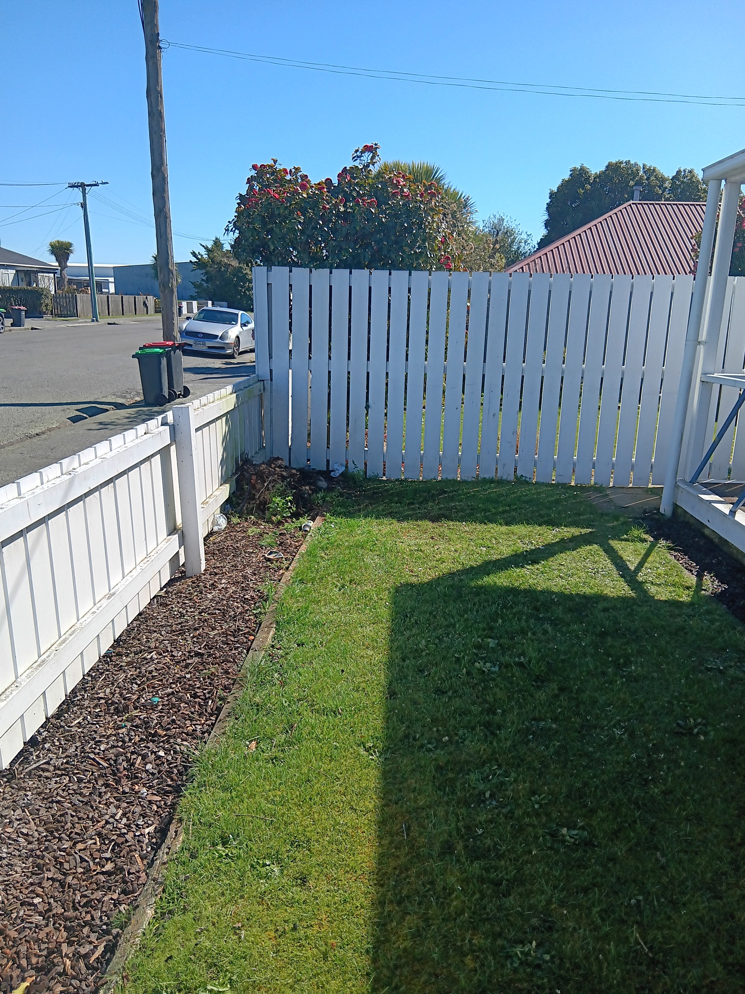 Dead tree removed