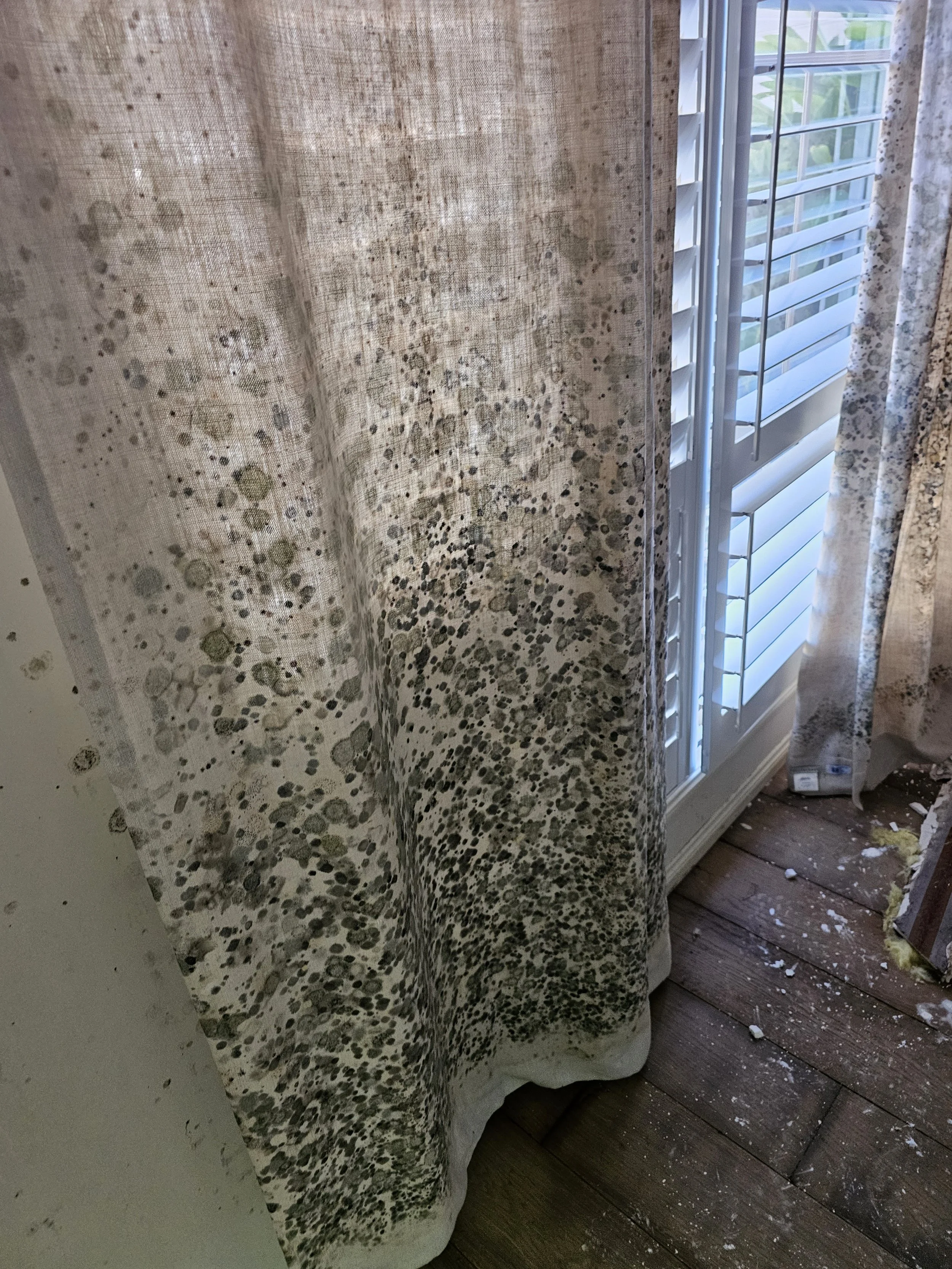 View of a corner near a window with partially open plantation shutters, floral curtains, a textured wall with mold, and debris on a wooden floor. Mould Remediation Services Australia