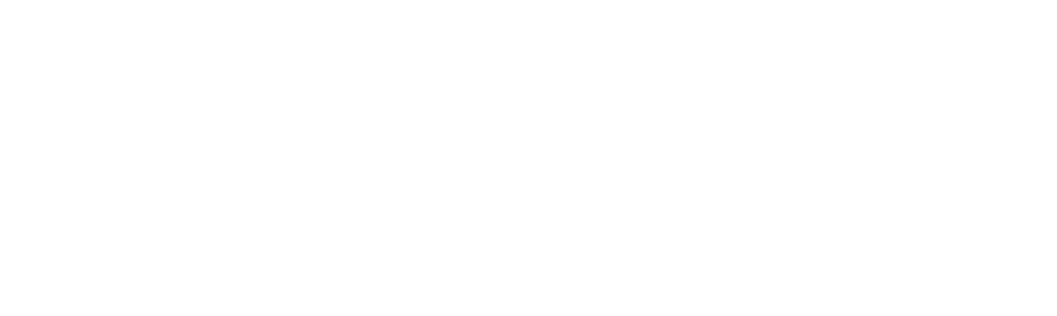 Young Bullets 2026