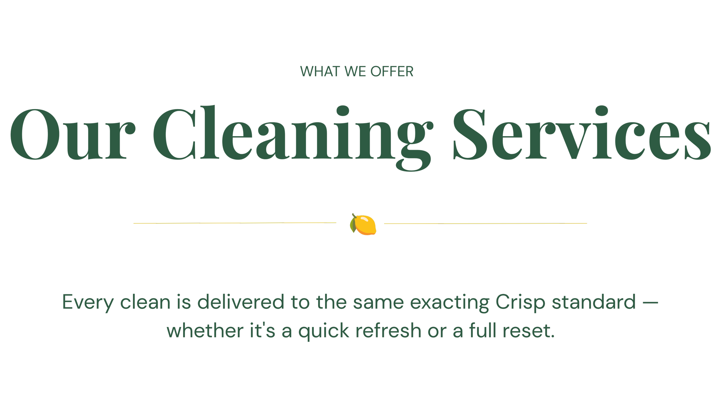 Company logo with text 'Our Cleaning Services' and a lemon icon, advertising cleaning company's offerings.