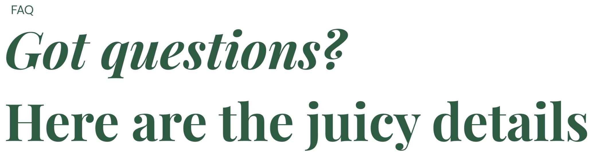 Text that says "FAQ Got questions? Here are the juicy details" in green on a white background.