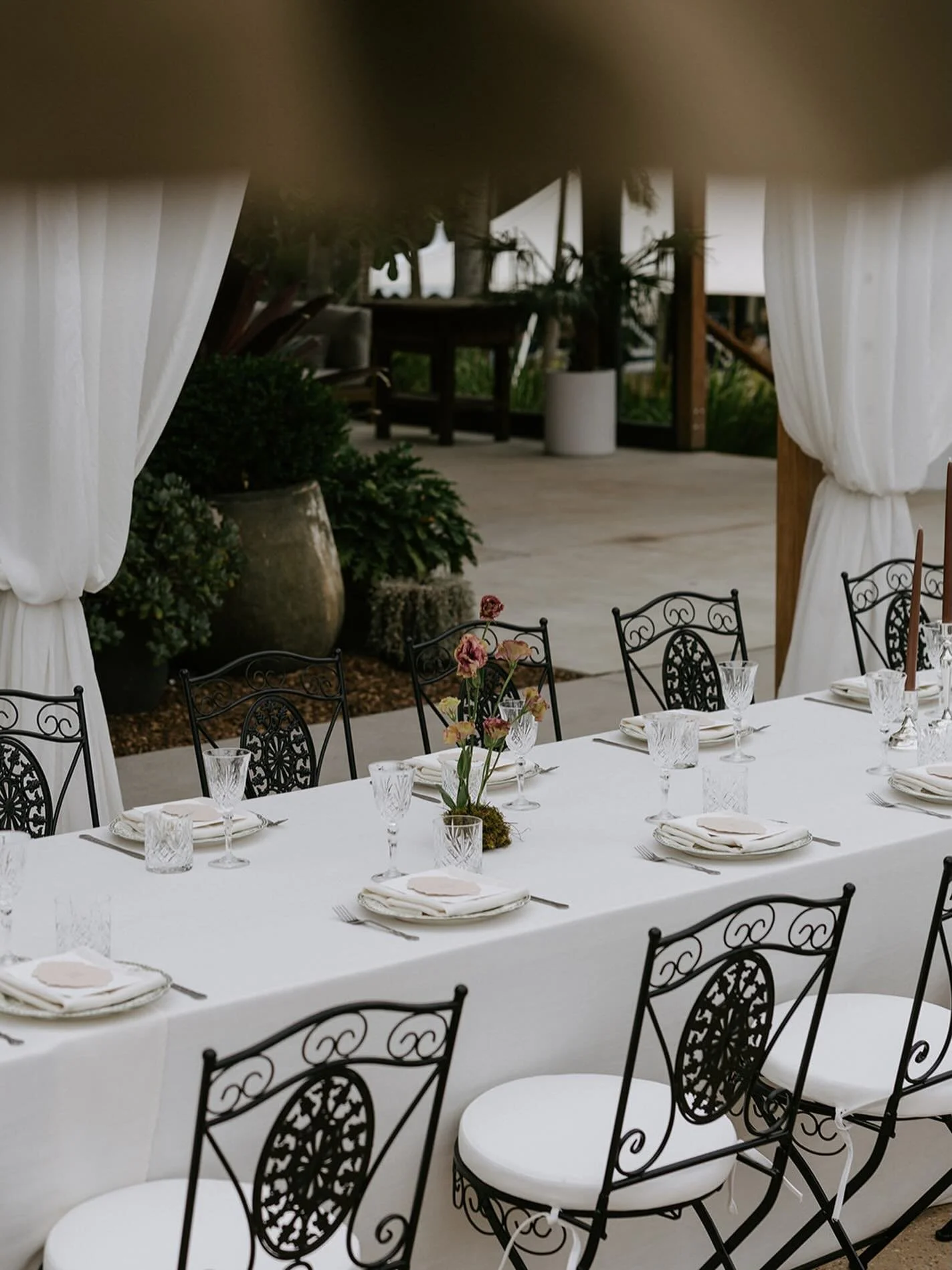 Introducing our Seraphine Dining Chair

Delicate detail, European influence, and a seat designed for beautifully considered tablescapes

@madelineanne_creator
@prettyinwhiteevents_ 
@thejacksonranch_
