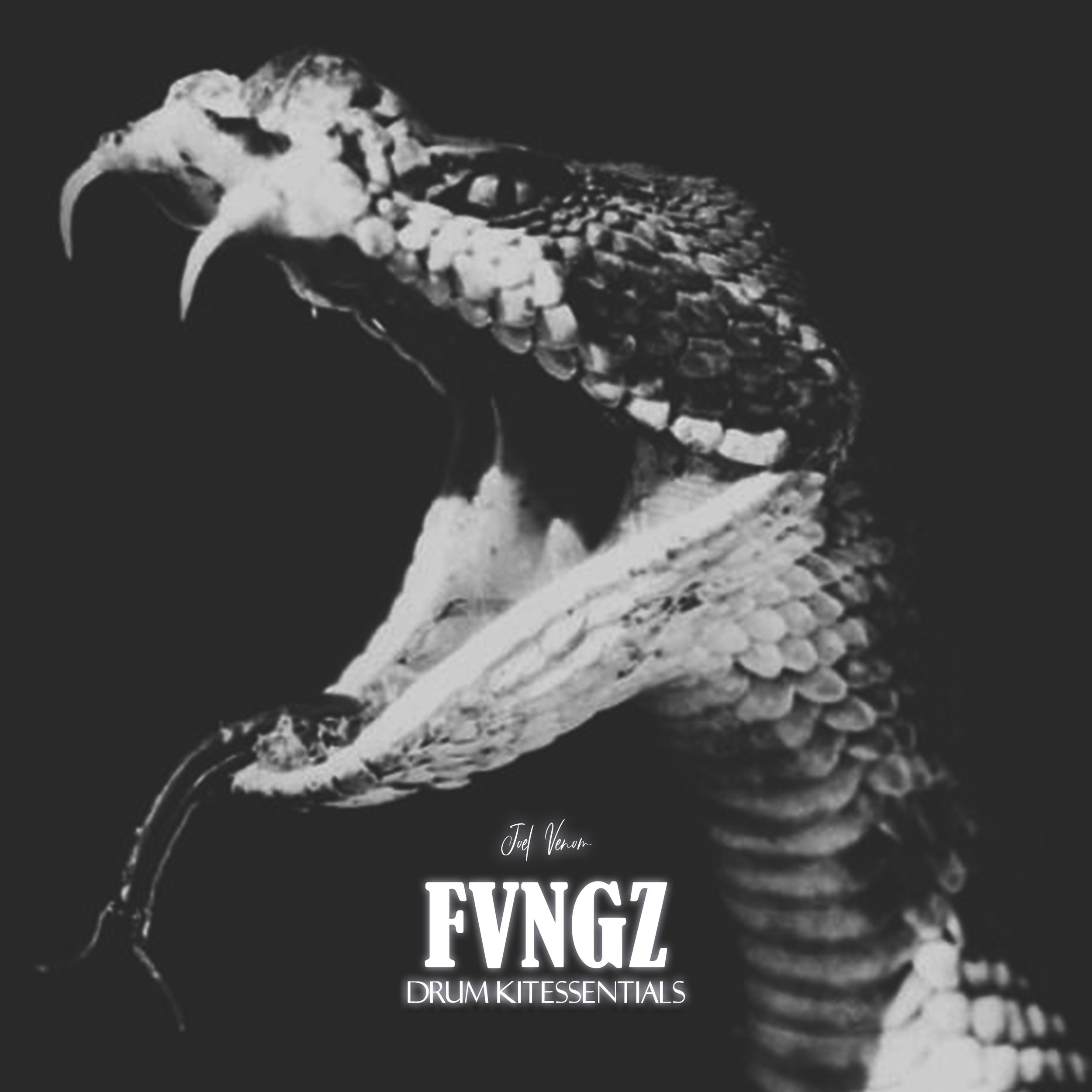 Joel Venom - FVNGZ Drum Kit Essentials