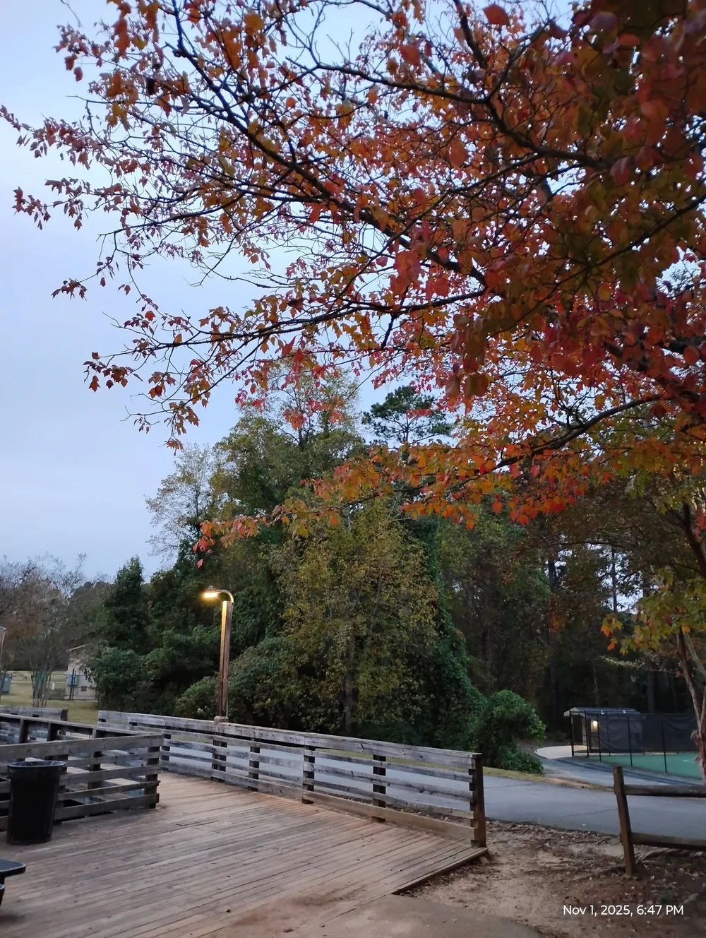 Autumn trees and recreation area at Dupree Park