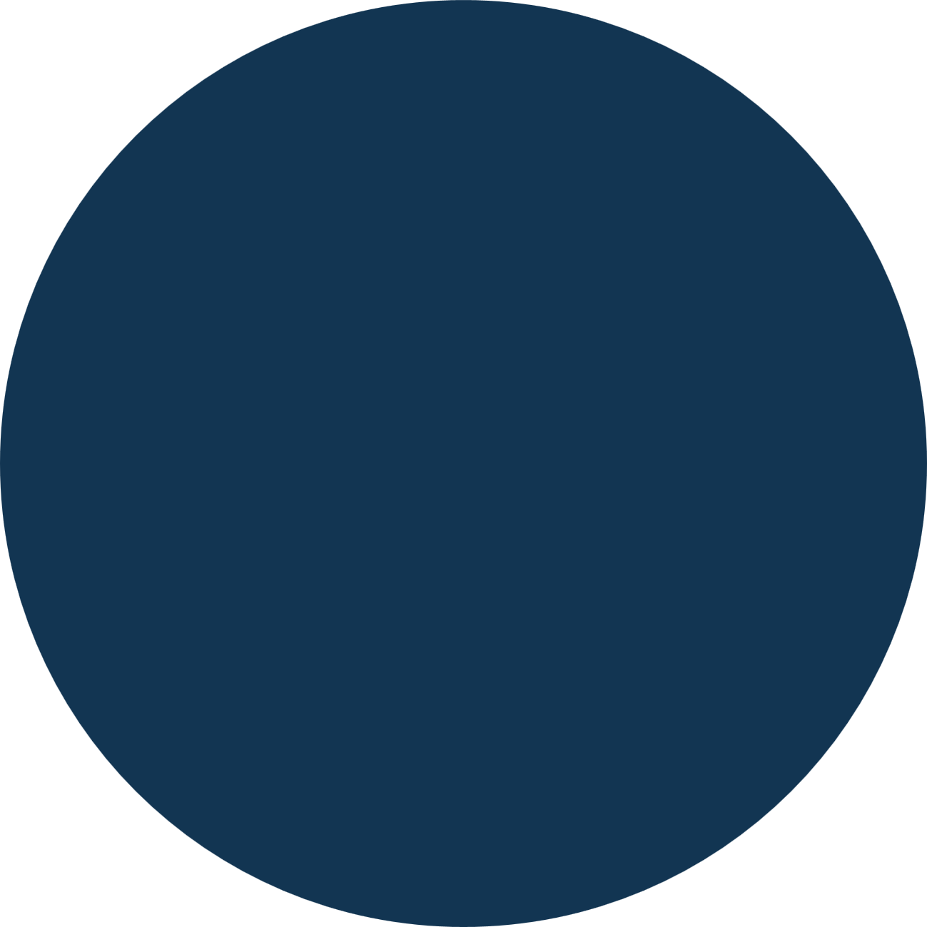 A solid dark blue circle