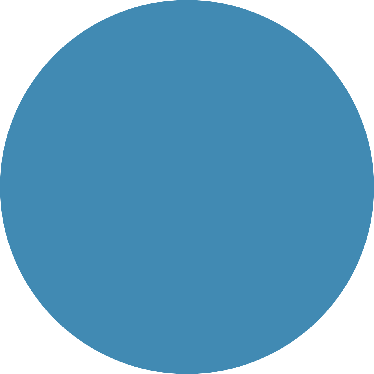 Solid blue circle.