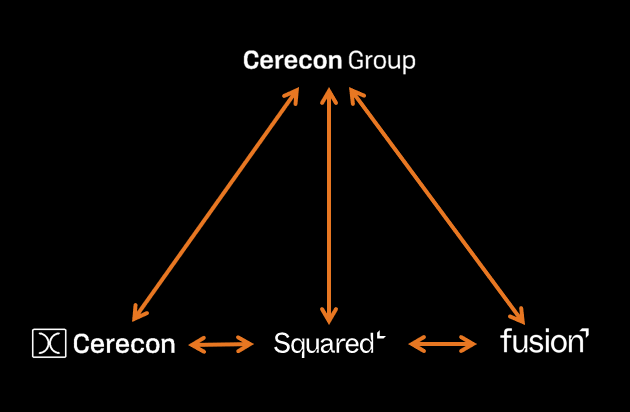 Diagram showing the relationship between Cerecon, Squared, and Fusion; Cerecon is connected to Squared and Fusion with arrows pointing both ways, and all three are interconnected.