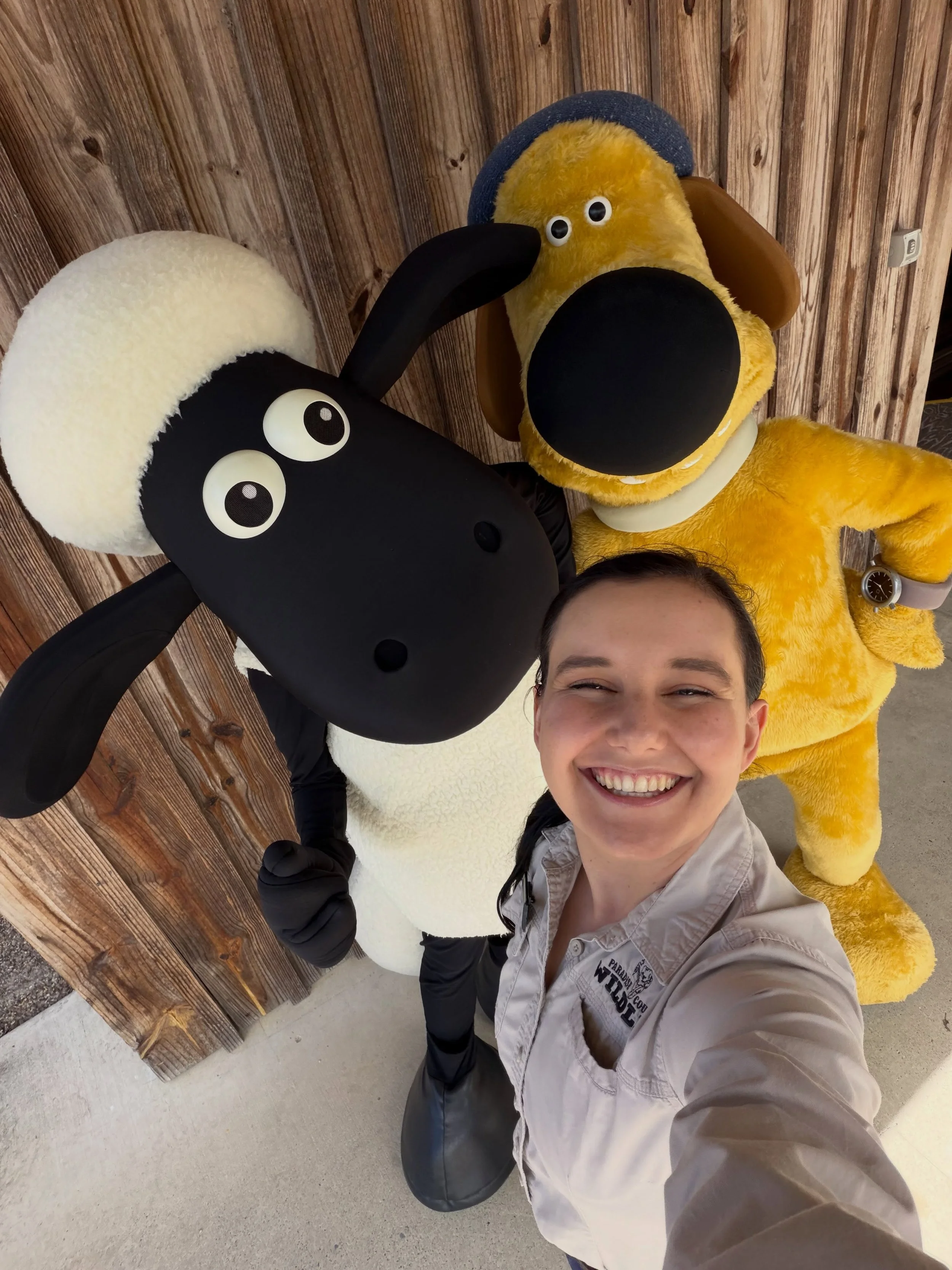 I snapped a selfie with Shaun the Sheep! 📸

Tagging @paradisecountrygc to go in to draw to win a DOUBLE PASS to Shaun the Sheep: The Beast of Mossy Bottom. 

@aardmananimations new @shaunthesheep movie in cinemas these September School Holidays! 🐑
