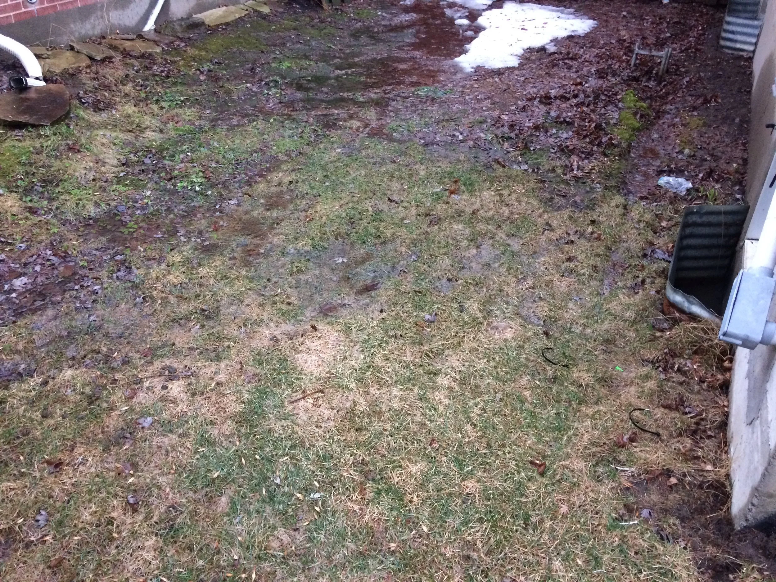 A backyard with patches of grass, dirt, and fallen leaves. There is some snow on the ground. The yard is surrounded by a wooden fence, and there are gardening tools and an electrical cord visible on the right side of the image.