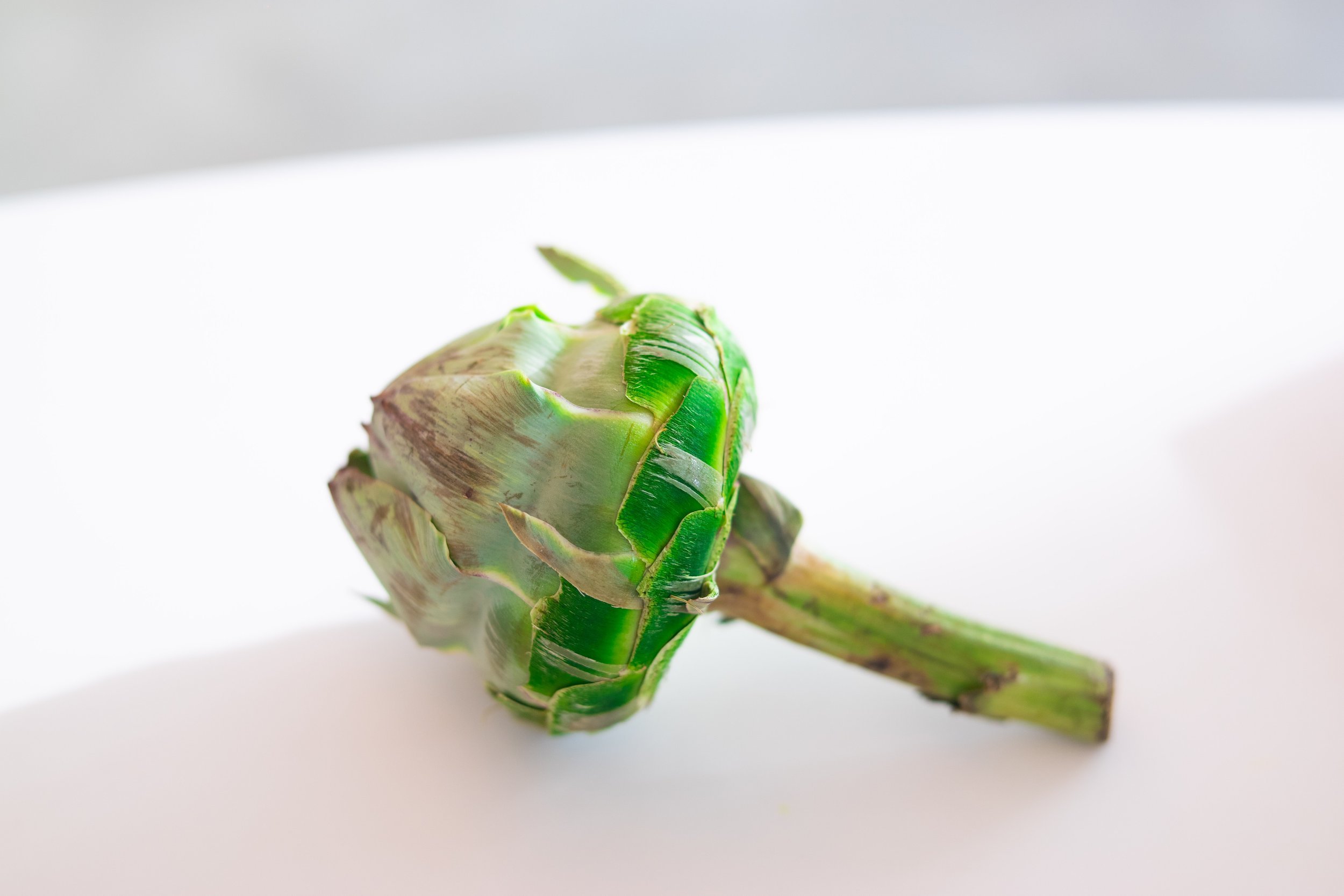 Artichoke.jpg