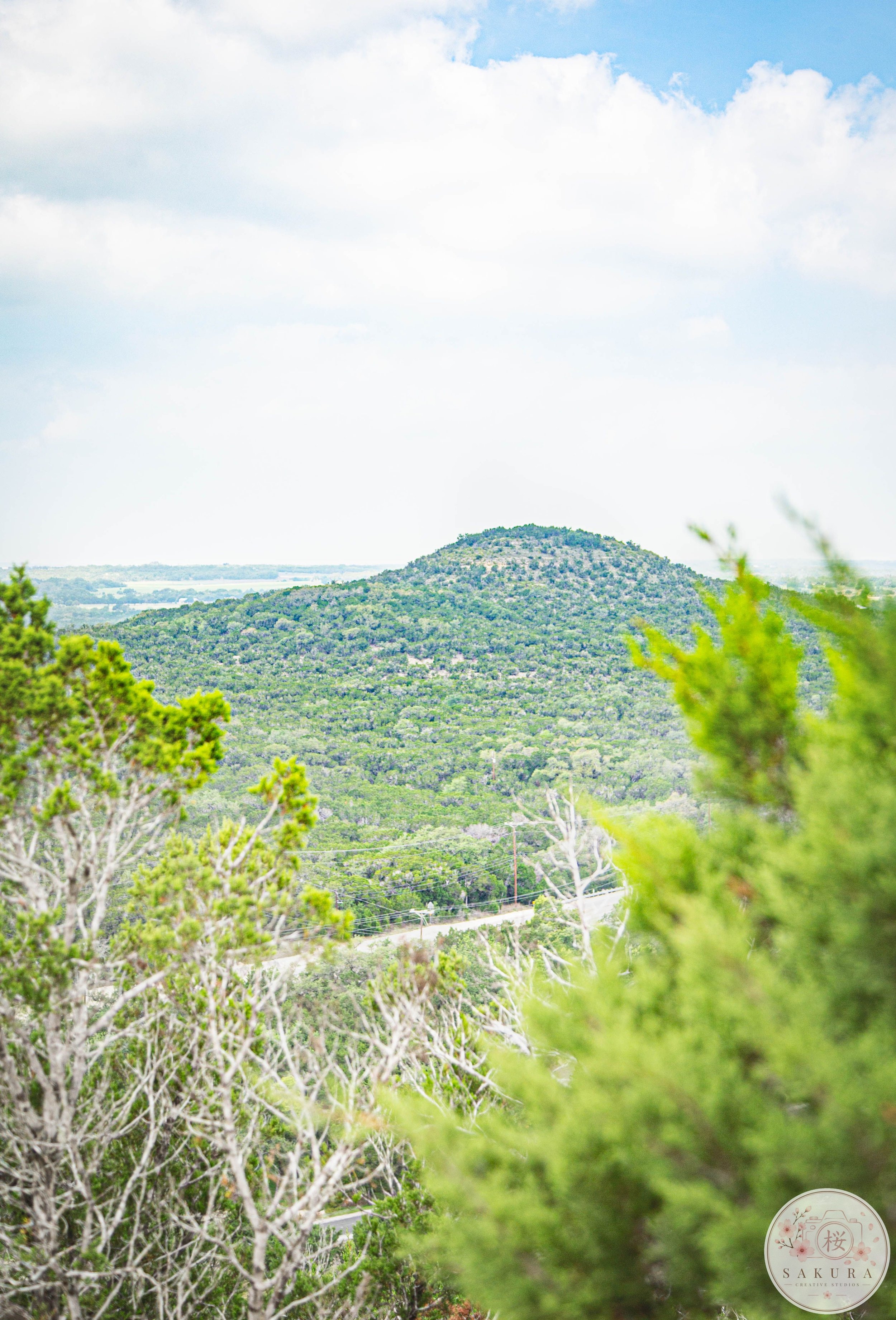 Scenic view of a lush green mountain or hill, with trees in the foreground and a cloudy sky above.