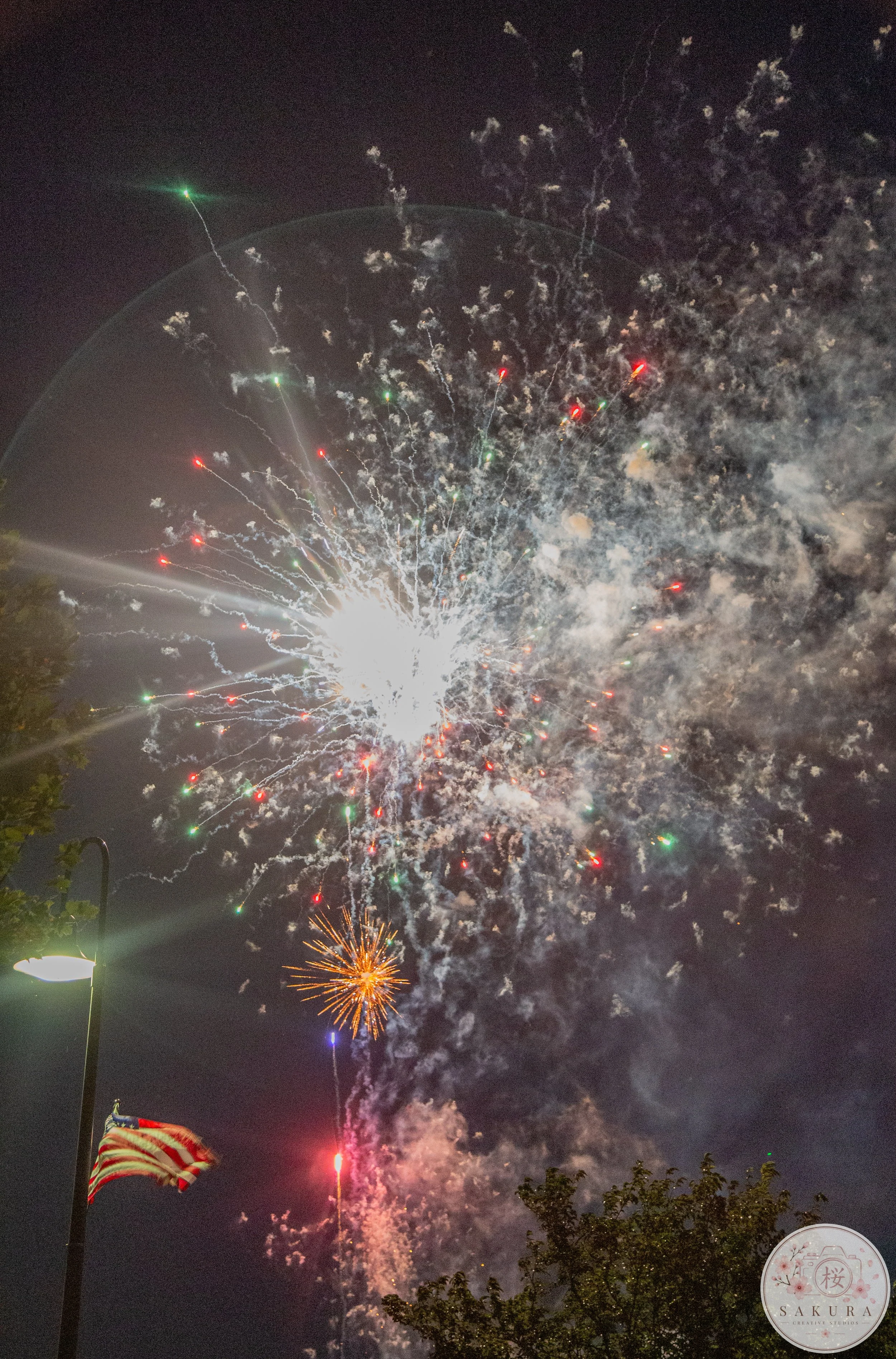 Night sky with colorful fireworks, American flag on the left, and trees at the bottom right.