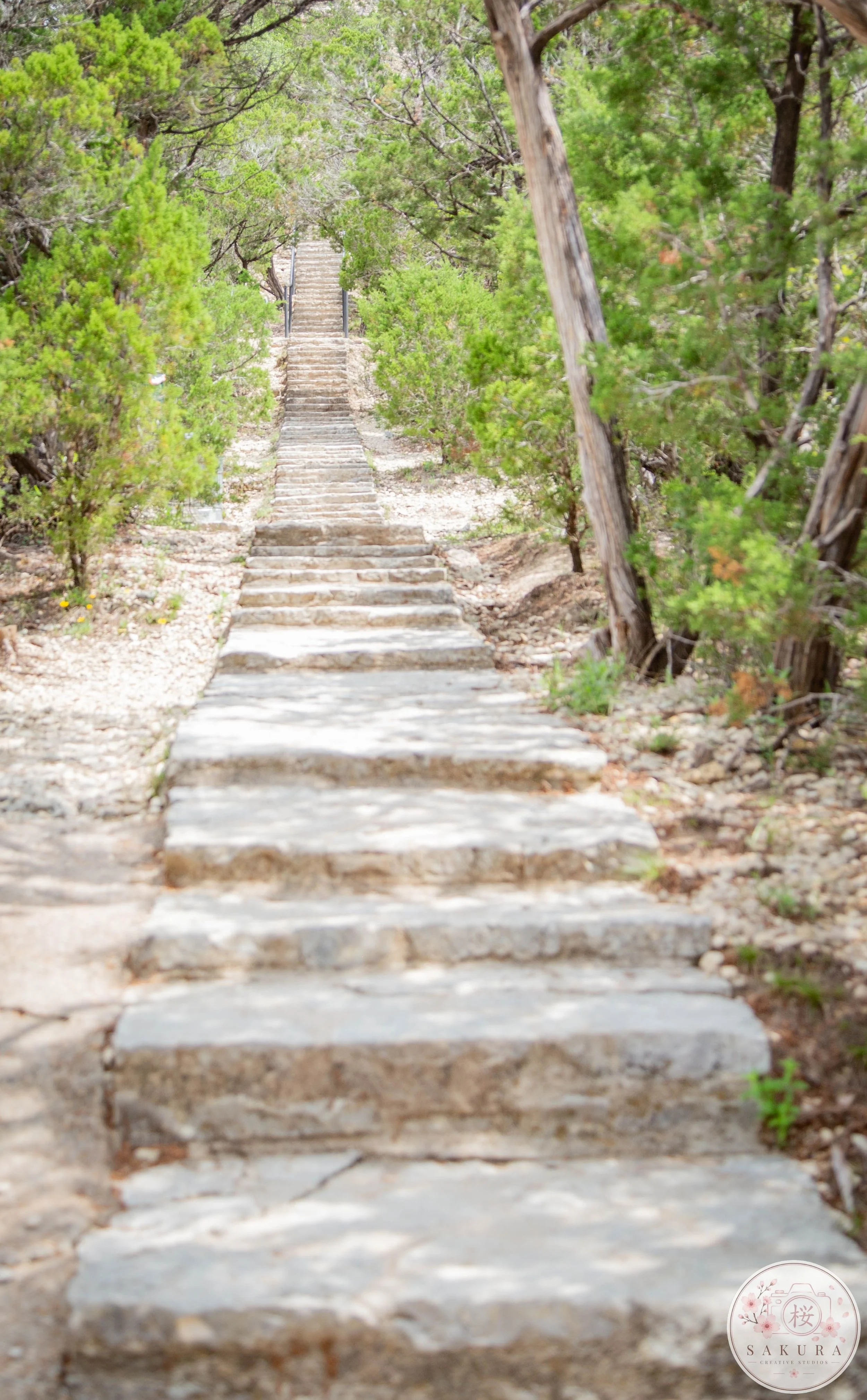Stone steps ascending through a green forested area with trees and bushes on both sides.