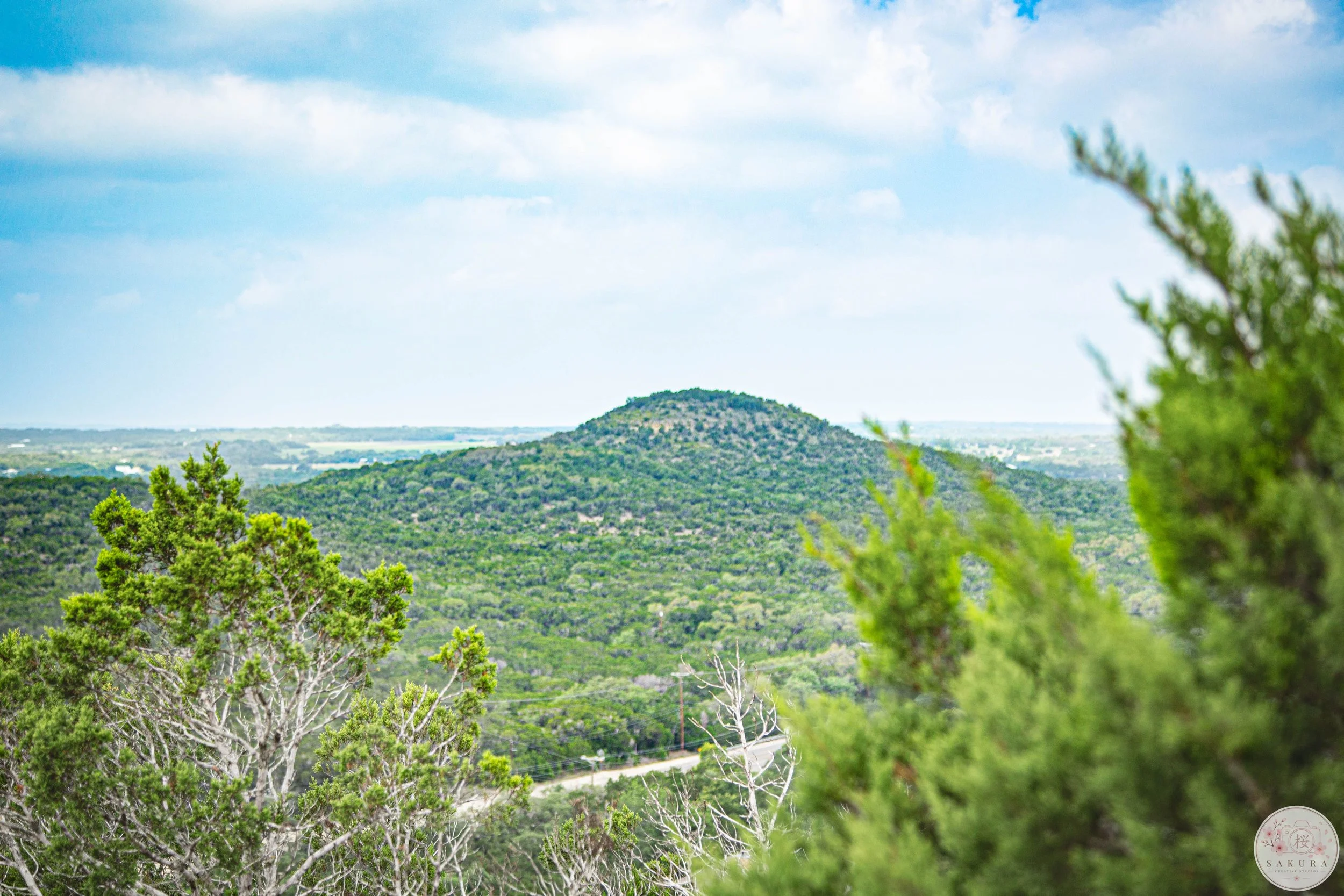 A landscape view of a hill covered with trees under a partly cloudy sky, with some green trees in the foreground and a train visible near the bottom.