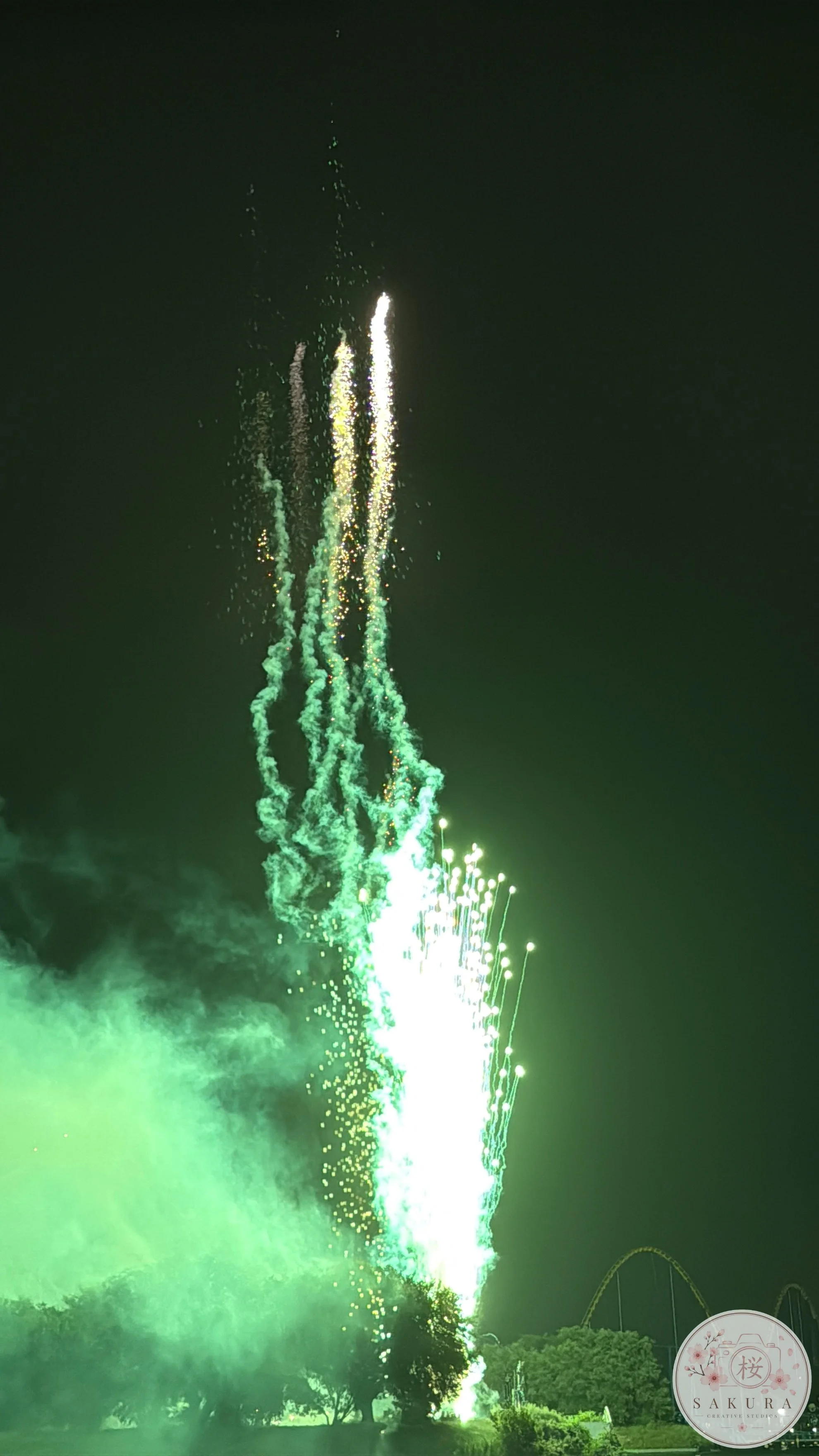 Green fireworks explode over a park at night with trees and a roller coaster visible in the background.