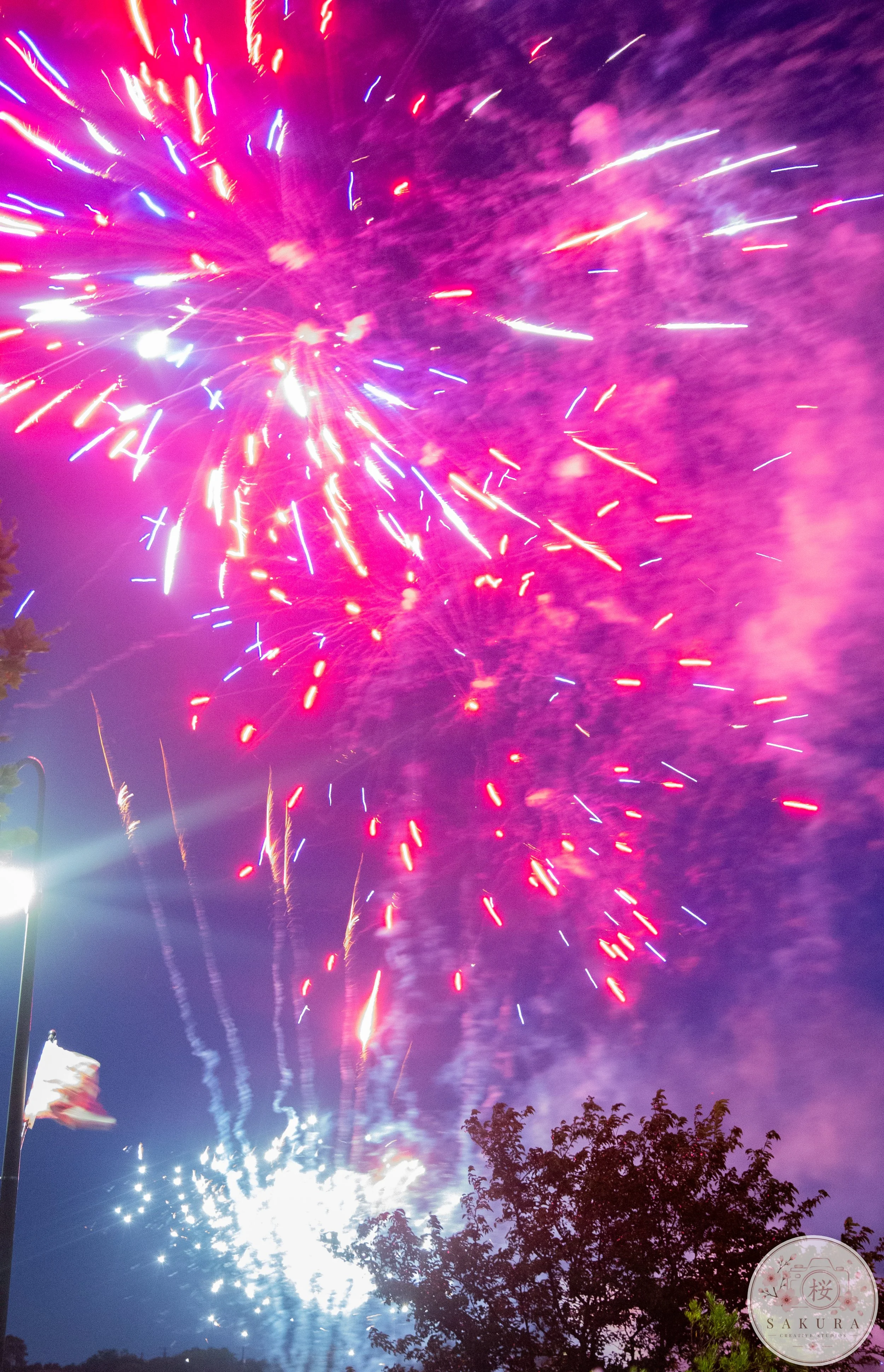 Colorful fireworks illuminating the night sky with shades of pink, purple, red, and blue, with silhouettes of trees and flags in the foreground.