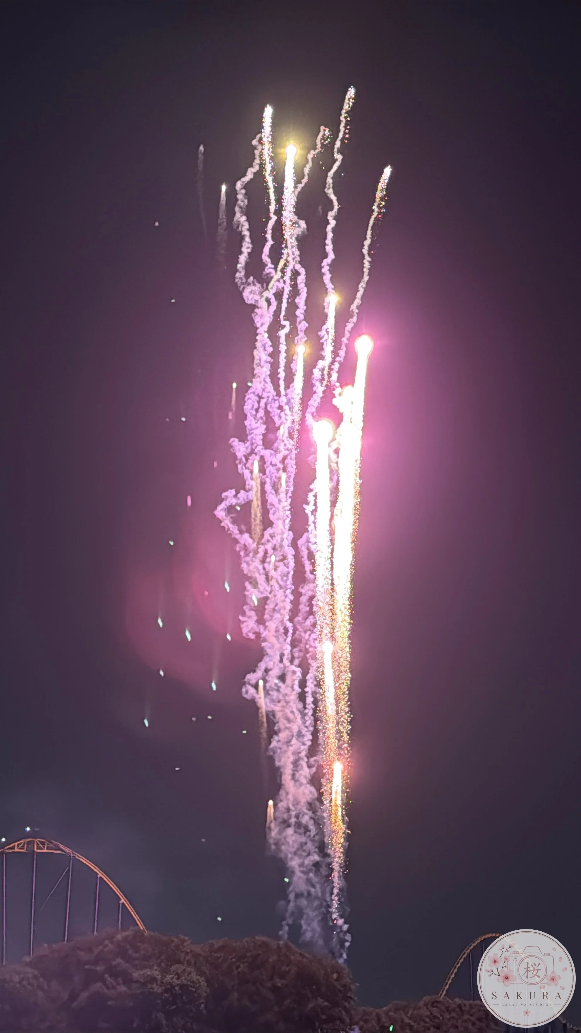 Night sky with fireworks exploding in pink, purple, and white colors.