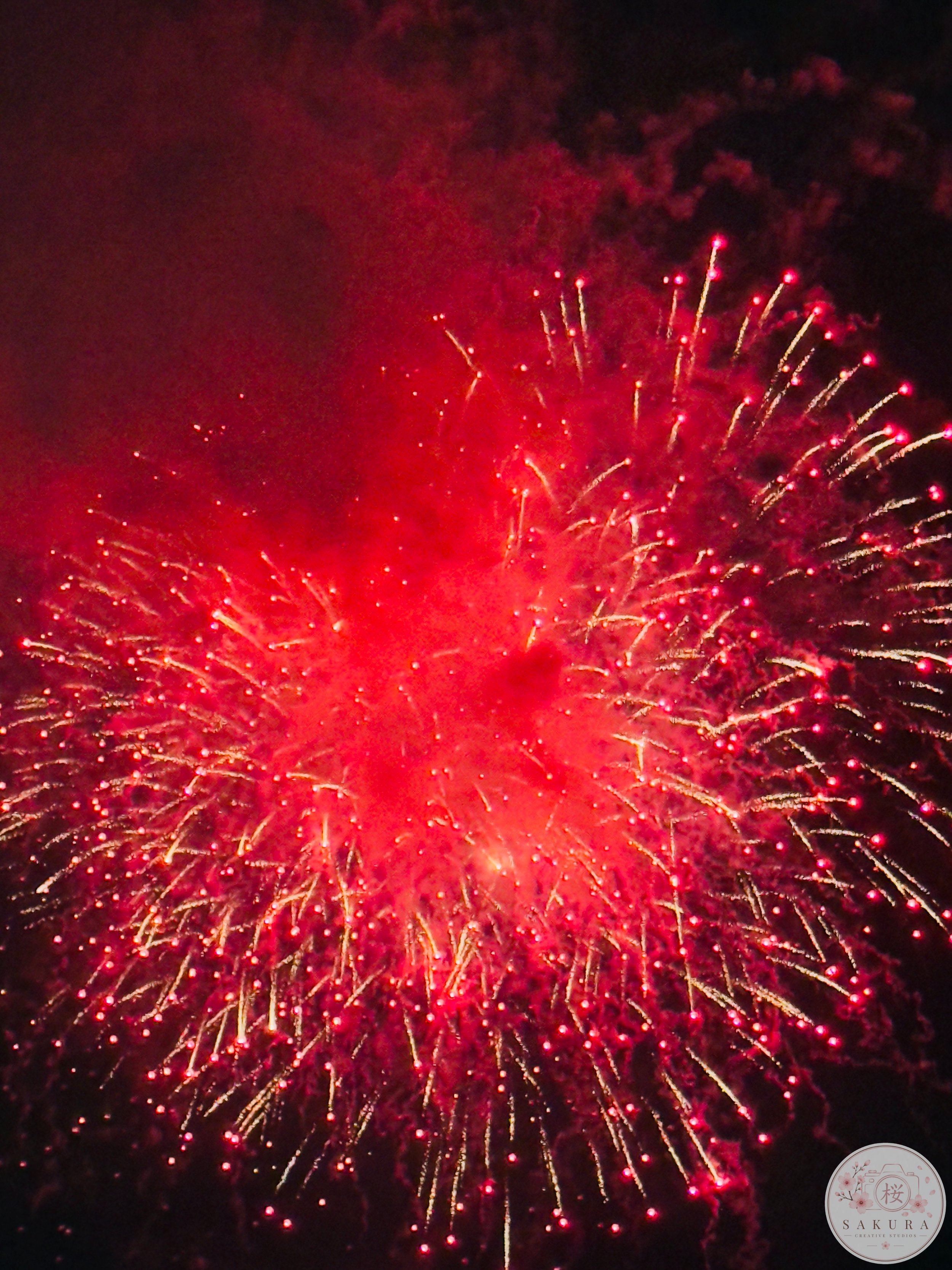 Bright red fireworks exploding in the night sky with streaks and clusters of light.