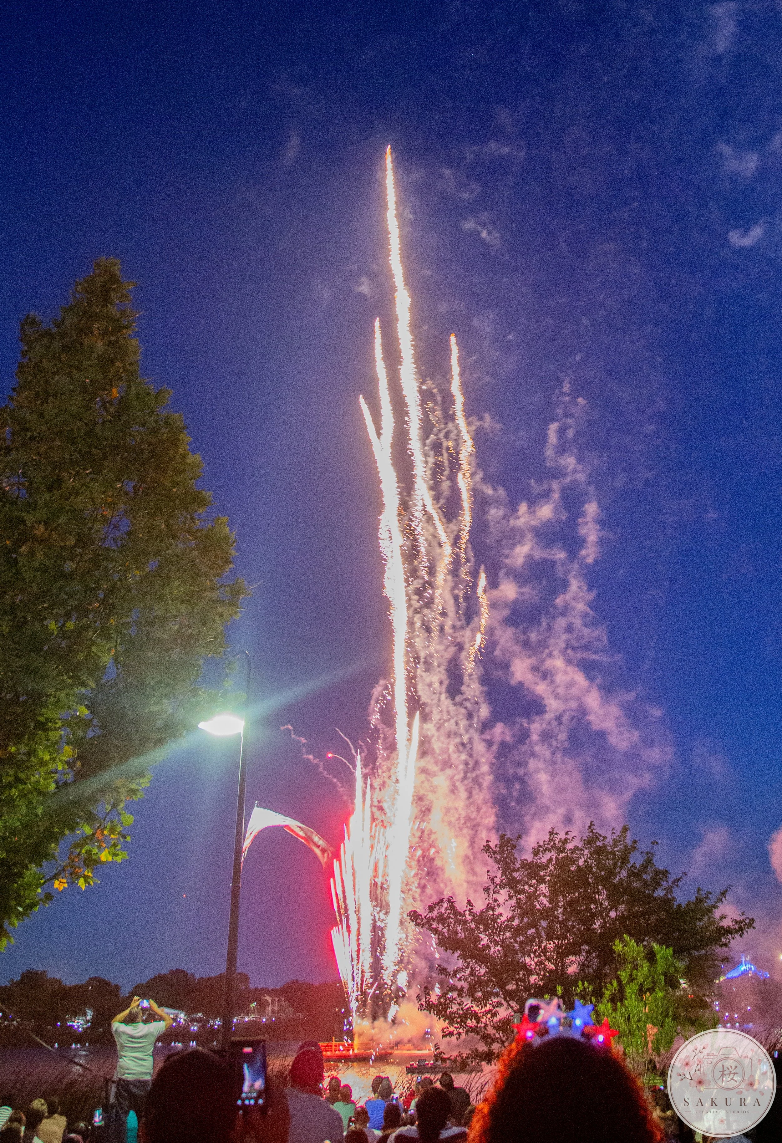 A fireworks display lighting up the night sky over a crowd gathered outdoors near a body of water, with trees and a streetlight in the foreground.