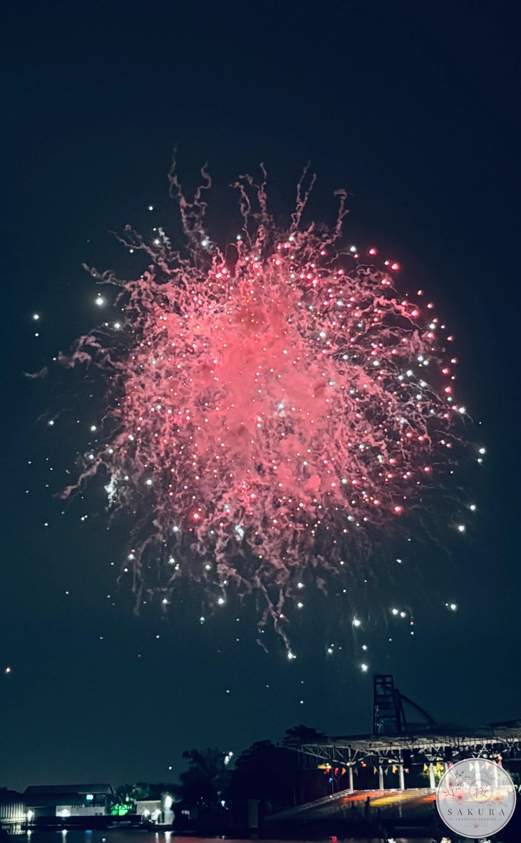 Pink fireworks exploding in the night sky over a landscape with a stage or pavilion and trees, with people visible in the foreground and distant buildings.