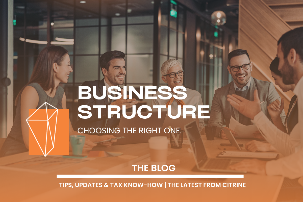 Choosing the Right Business Structure