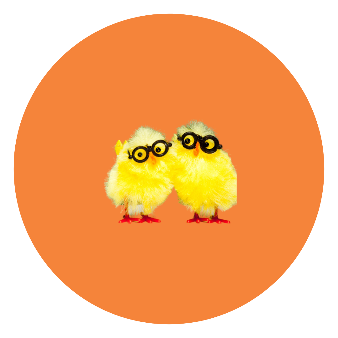 Two plush yellow chicks wearing black glasses and standing on a red base, on an orange background.