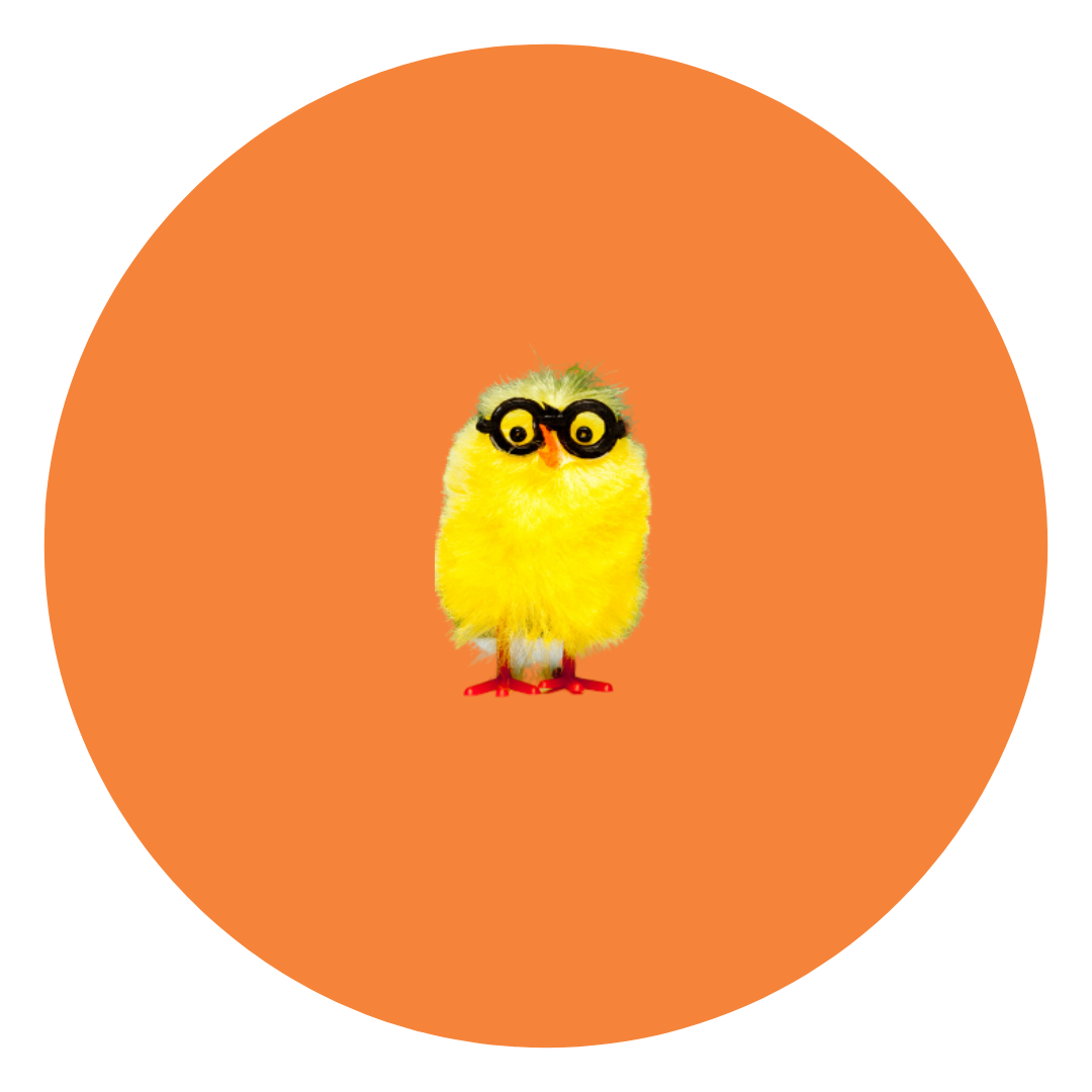 A plush yellow chick with black-rimmed glasses standing on an orange background.