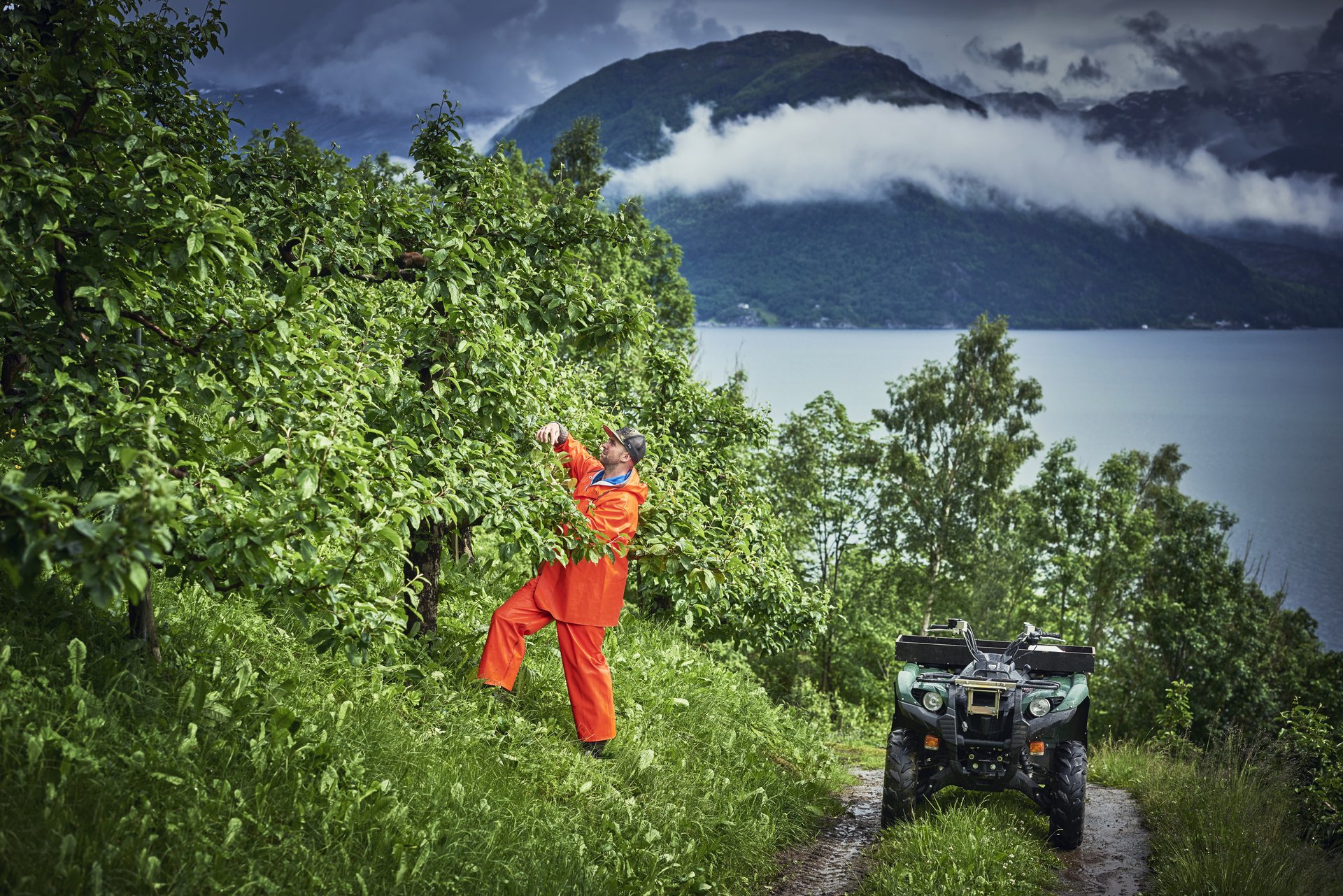Morten Wanvik/ Vestland fylkeskommune 