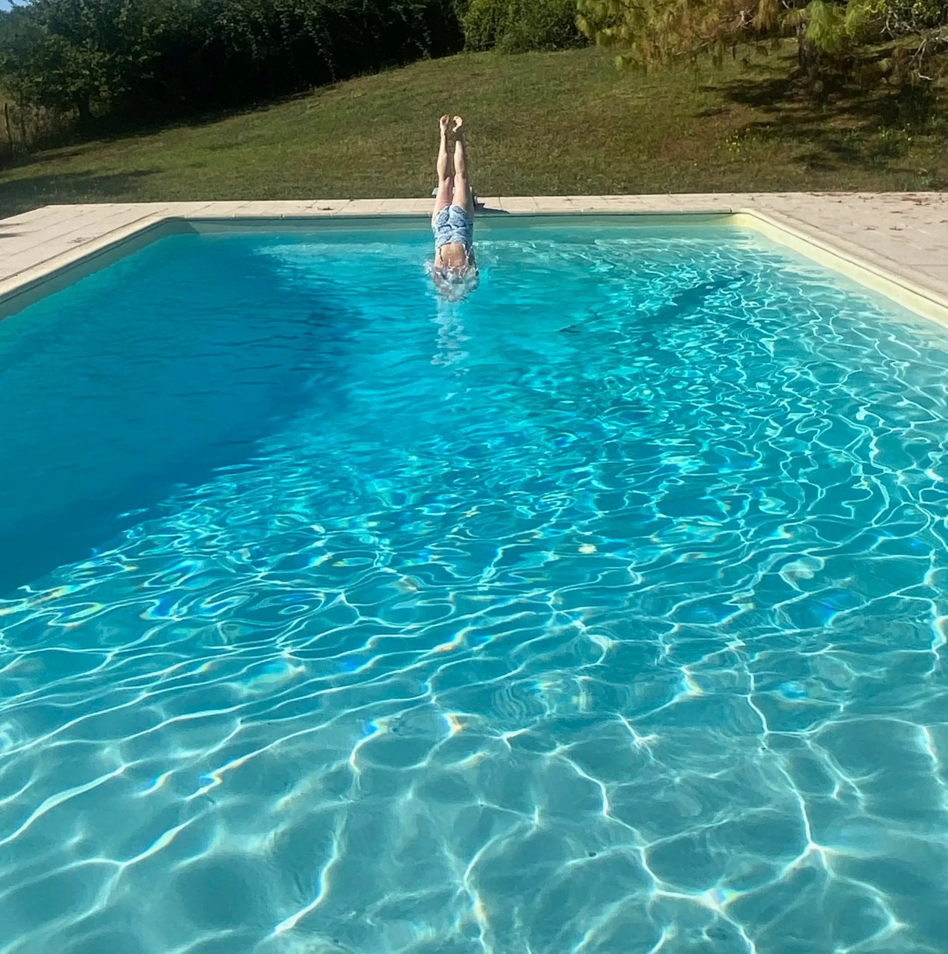 Person diving into a swimming pool from the edge, with grass and trees in the background.